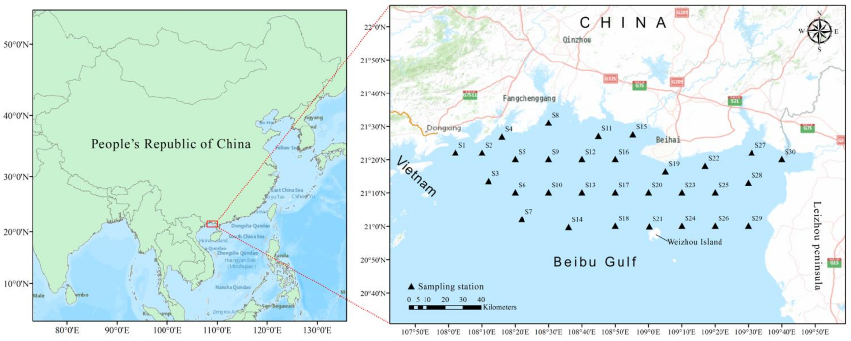 Ijerph 19 10205 g001 550