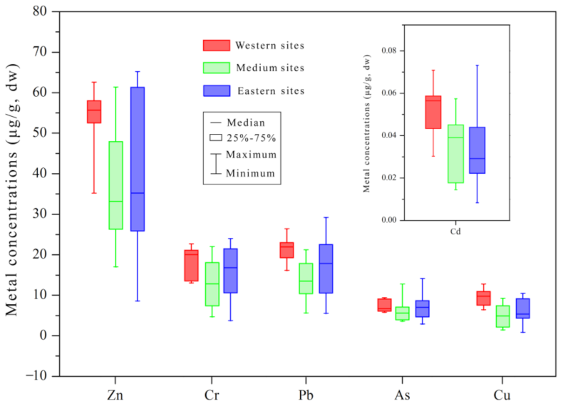 Ijerph 19 10205 g003 550