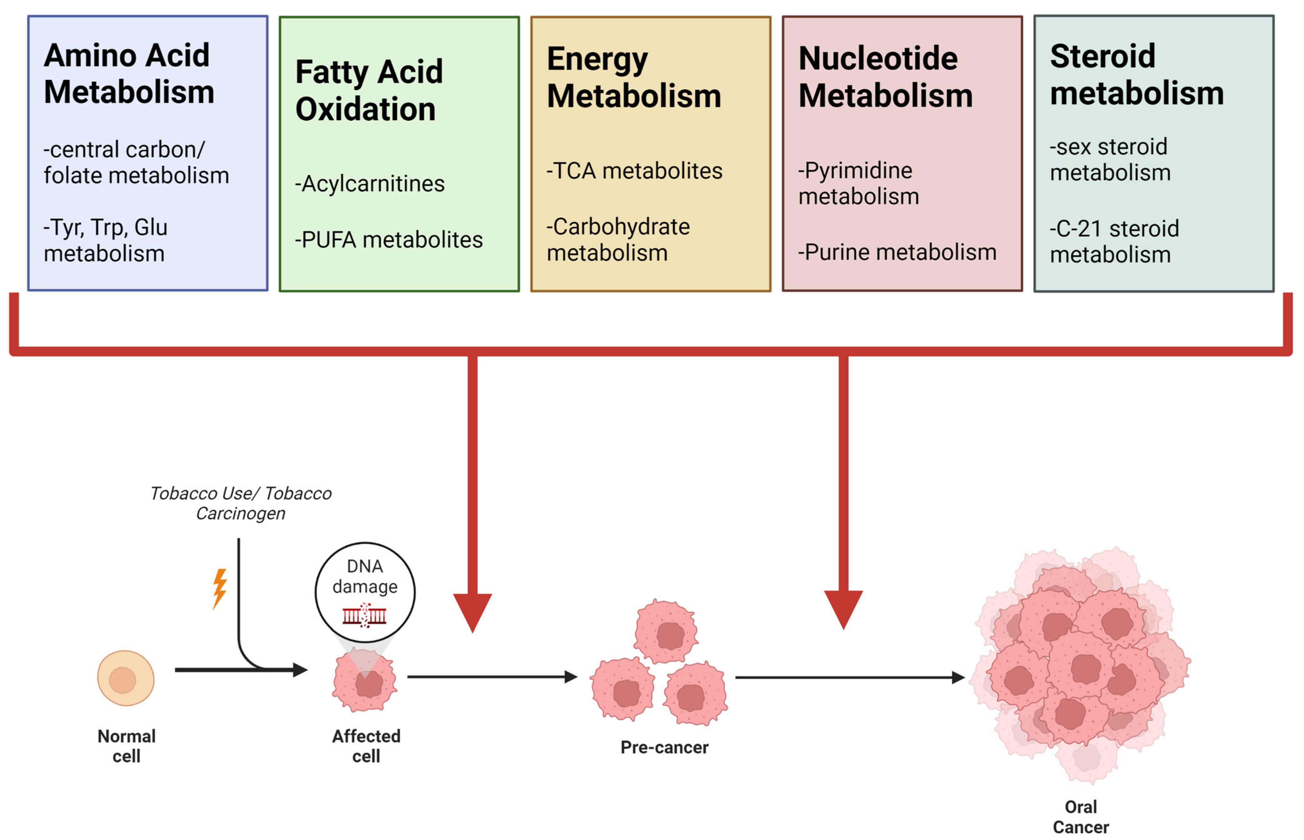 Ijerph 19 10261 g008 550