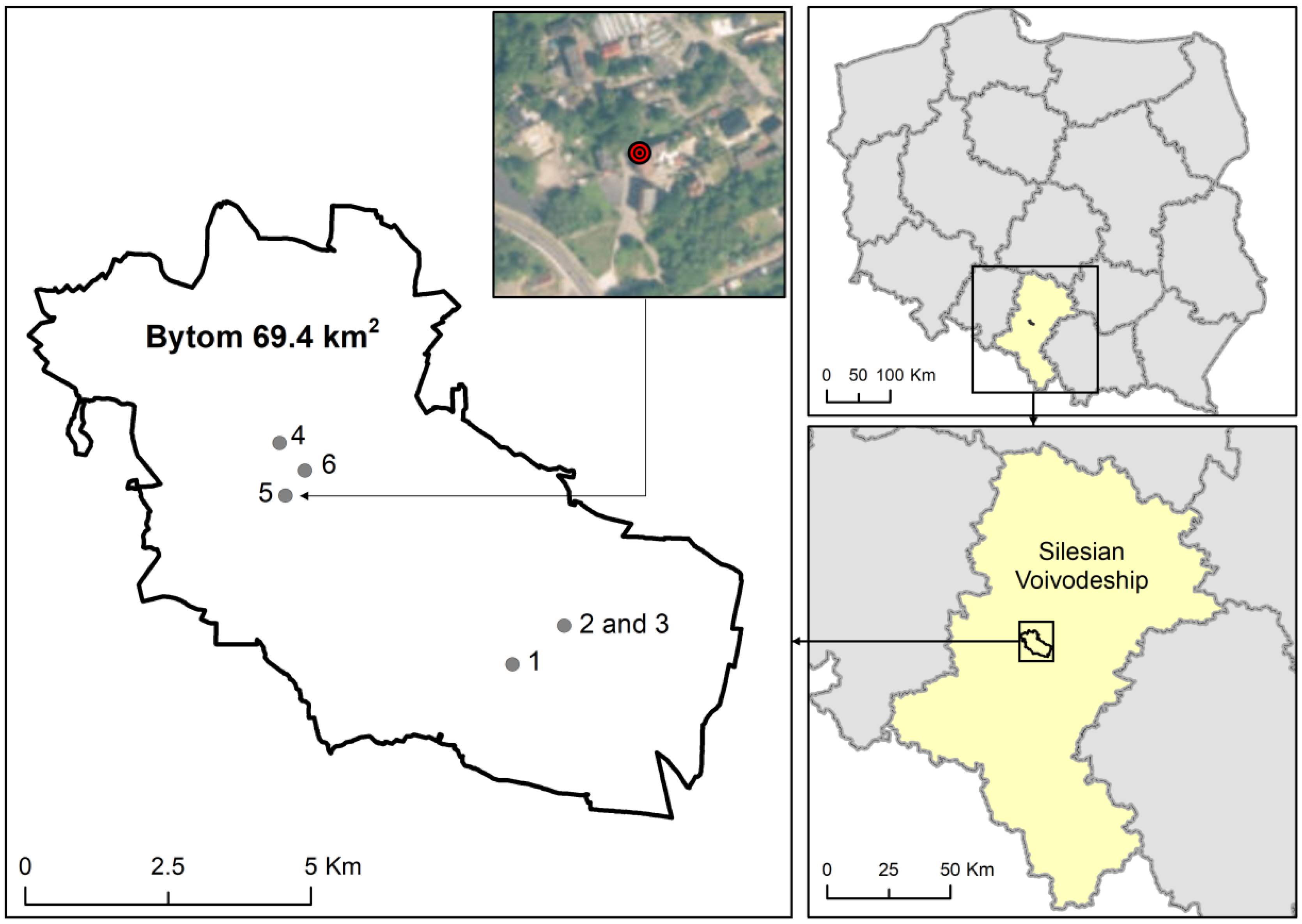 Ijerph 19 10289 g001