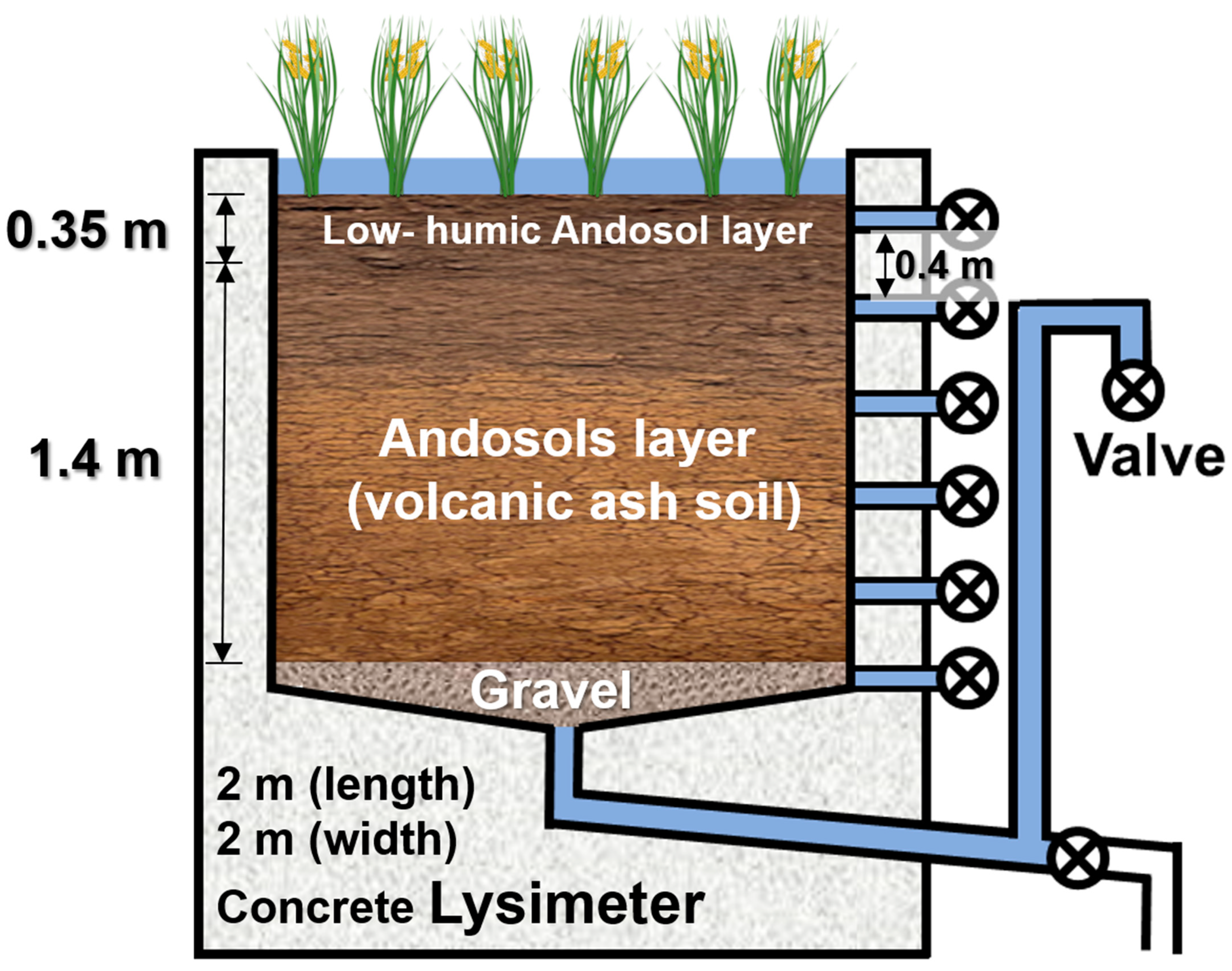 Ijerph 19 10379 g001 550