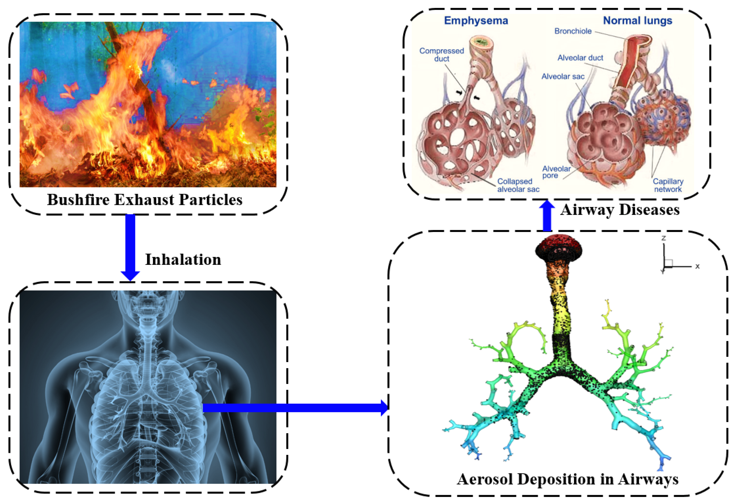 Ijerph 19 10388 g012