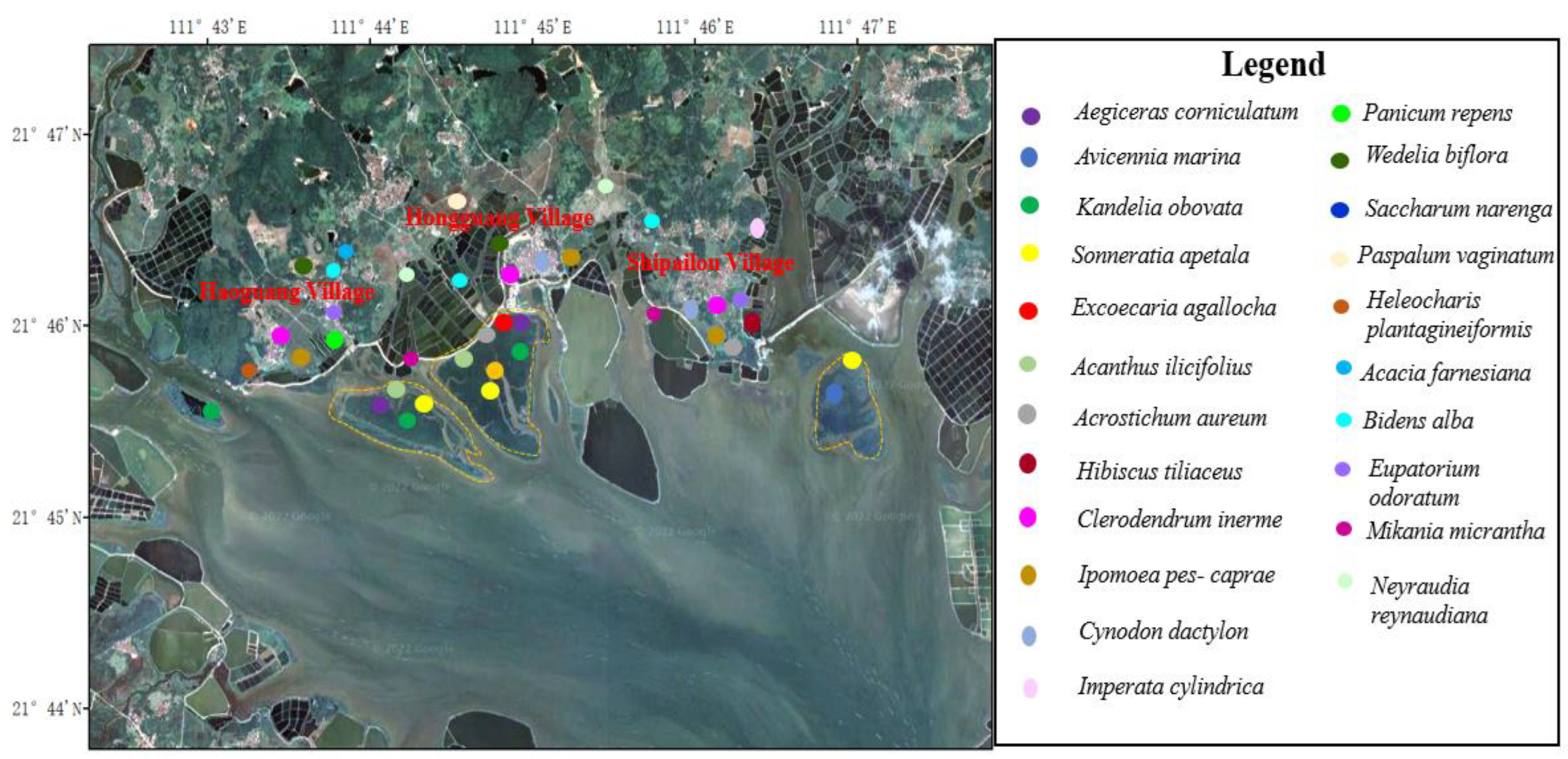 Ijerph 19 10399 g003 550