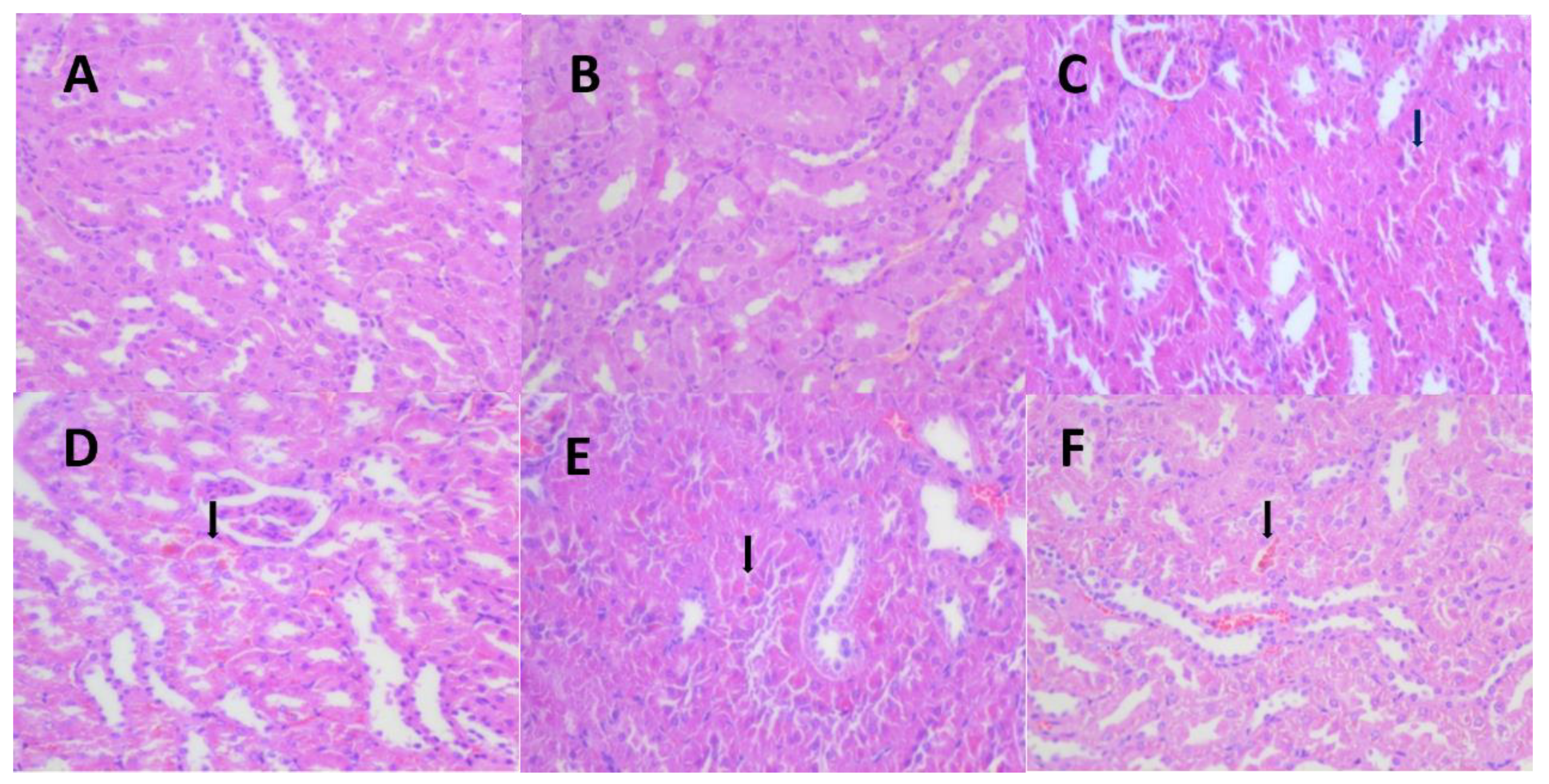 Ijerph 19 10413 g004