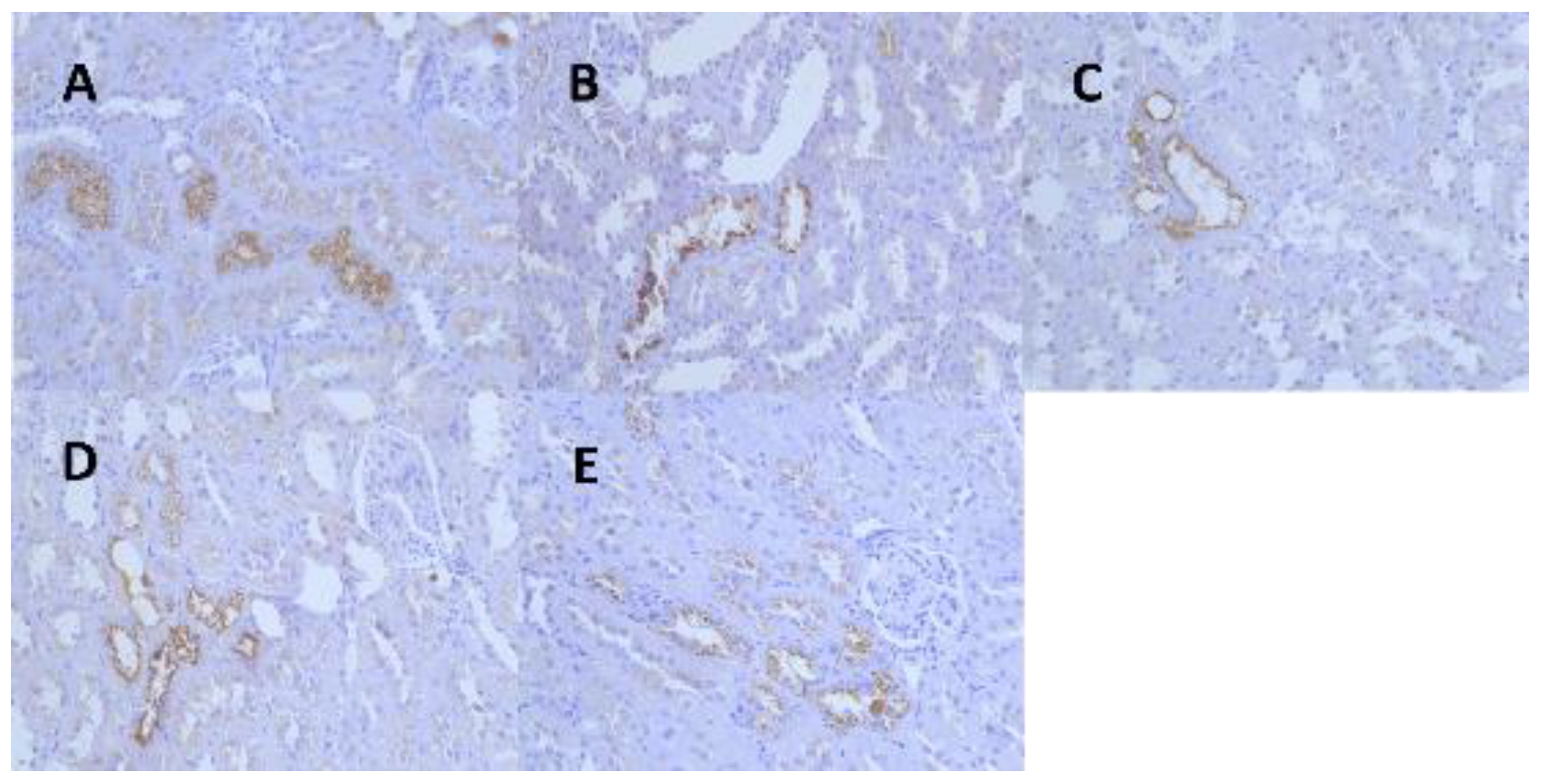 Ijerph 19 10413 g005