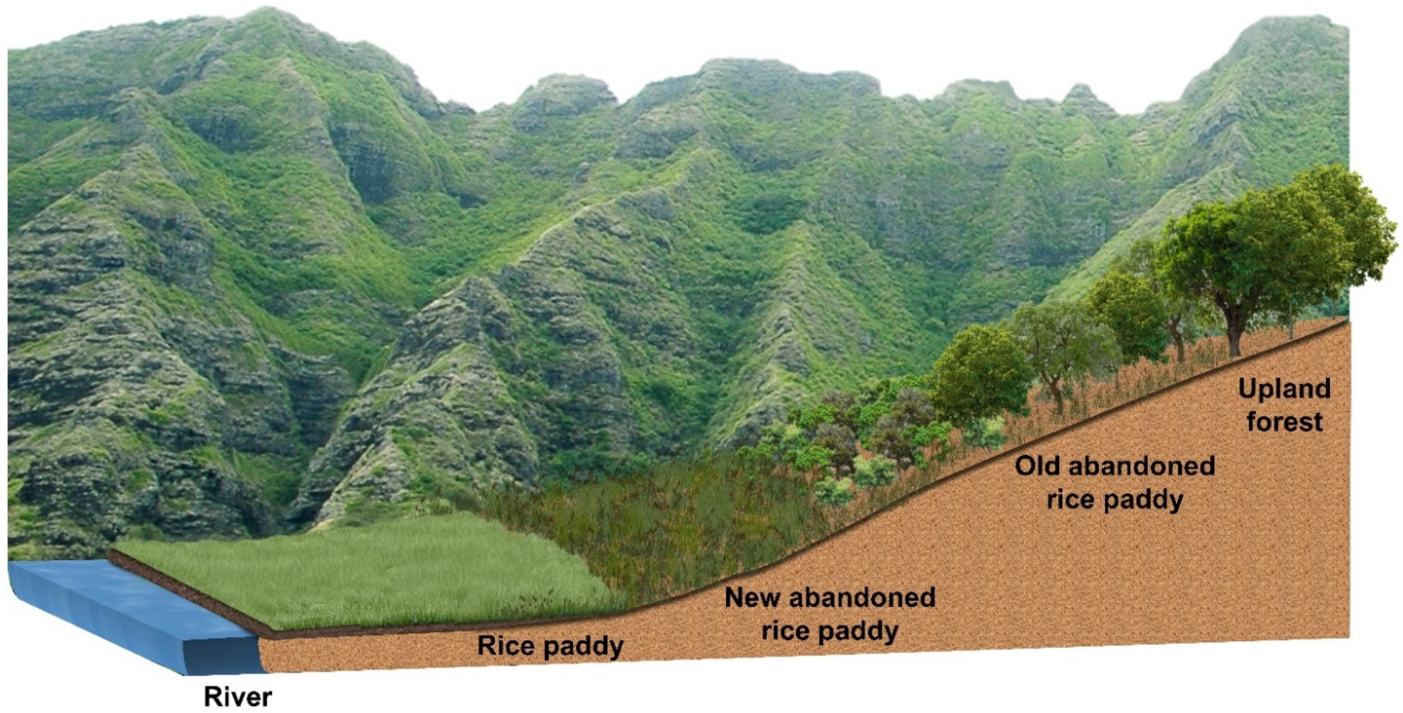 Ijerph 19 10416 g002 Ijerph 19 10416 g002