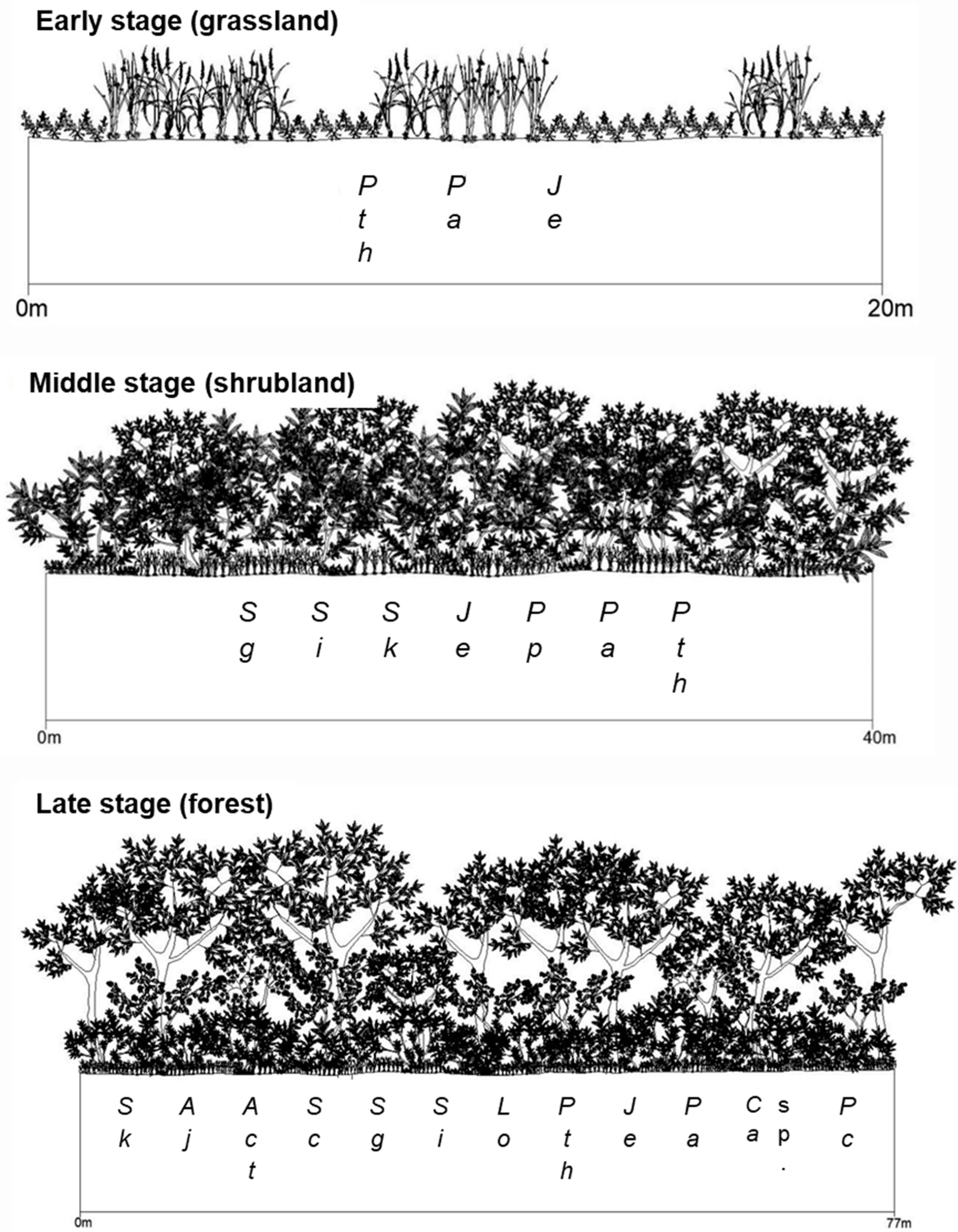Ijerph 19 10416 g003 Ijerph 19 10416 g003