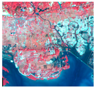 Ijerph 19 10469 i001