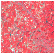 Ijerph 19 10469 i003