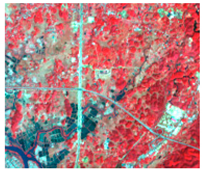 Ijerph 19 10469 i010