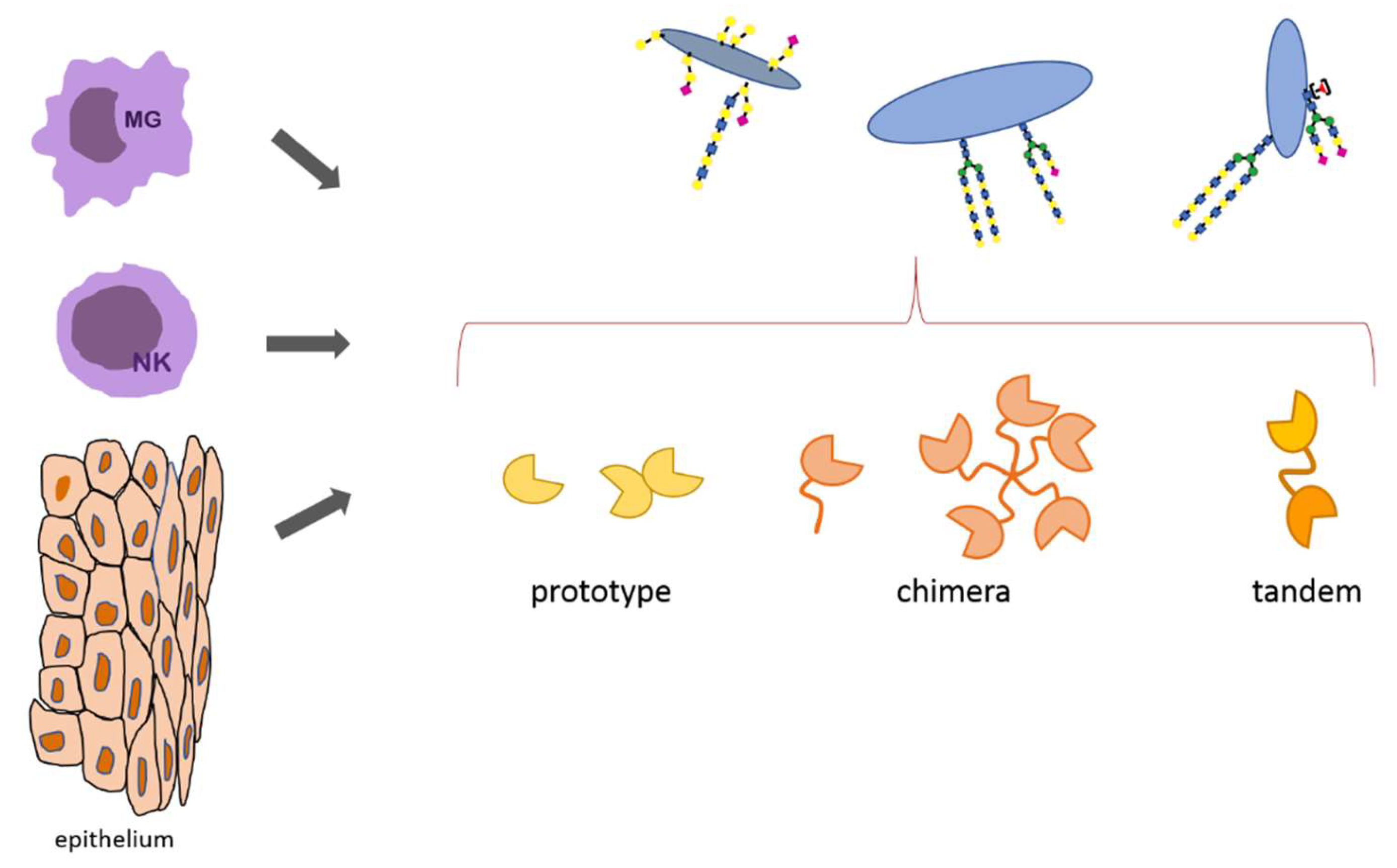 Ijerph 19 10489 g005