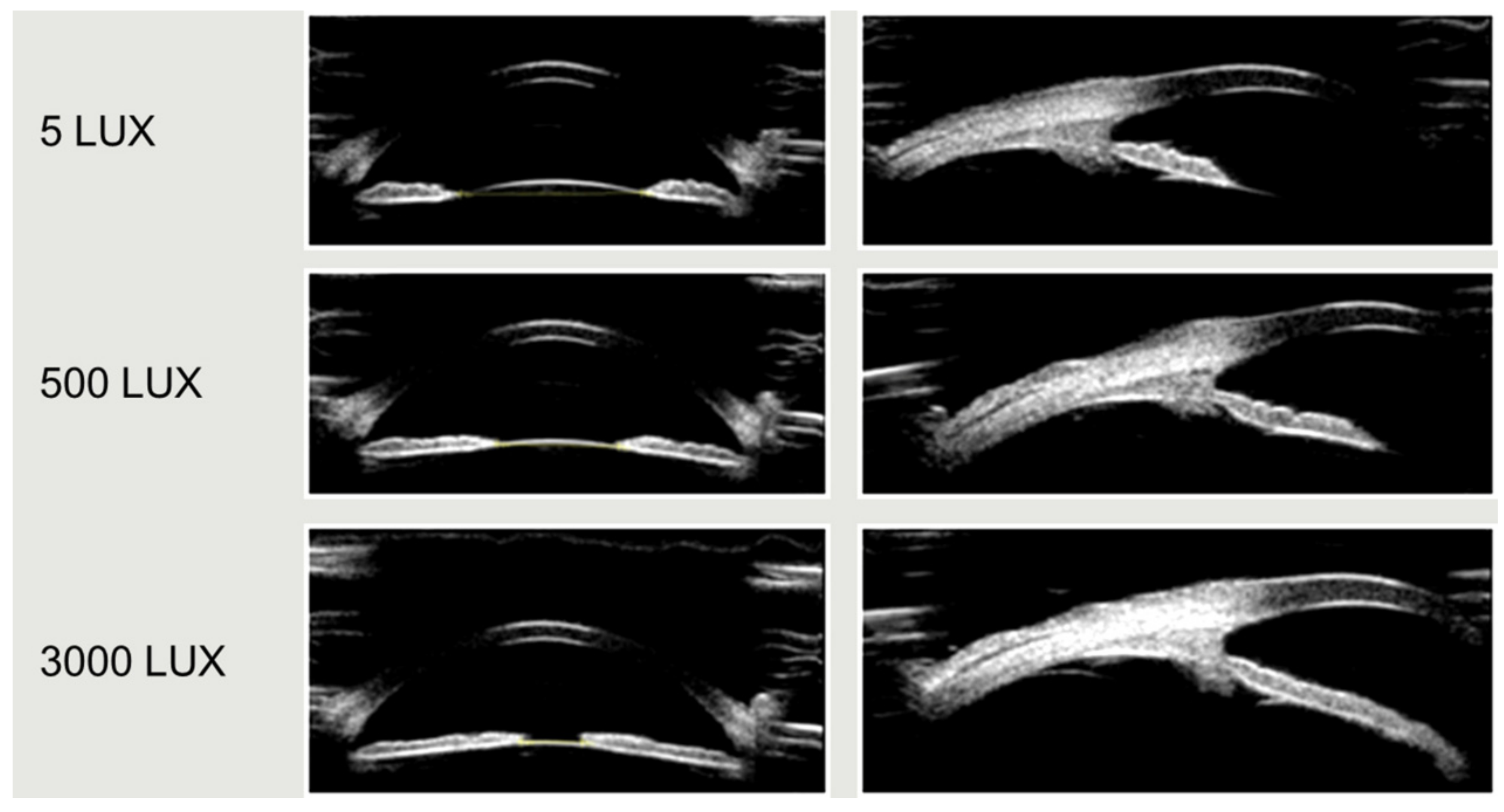 Ijerph 19 10490 g004 550