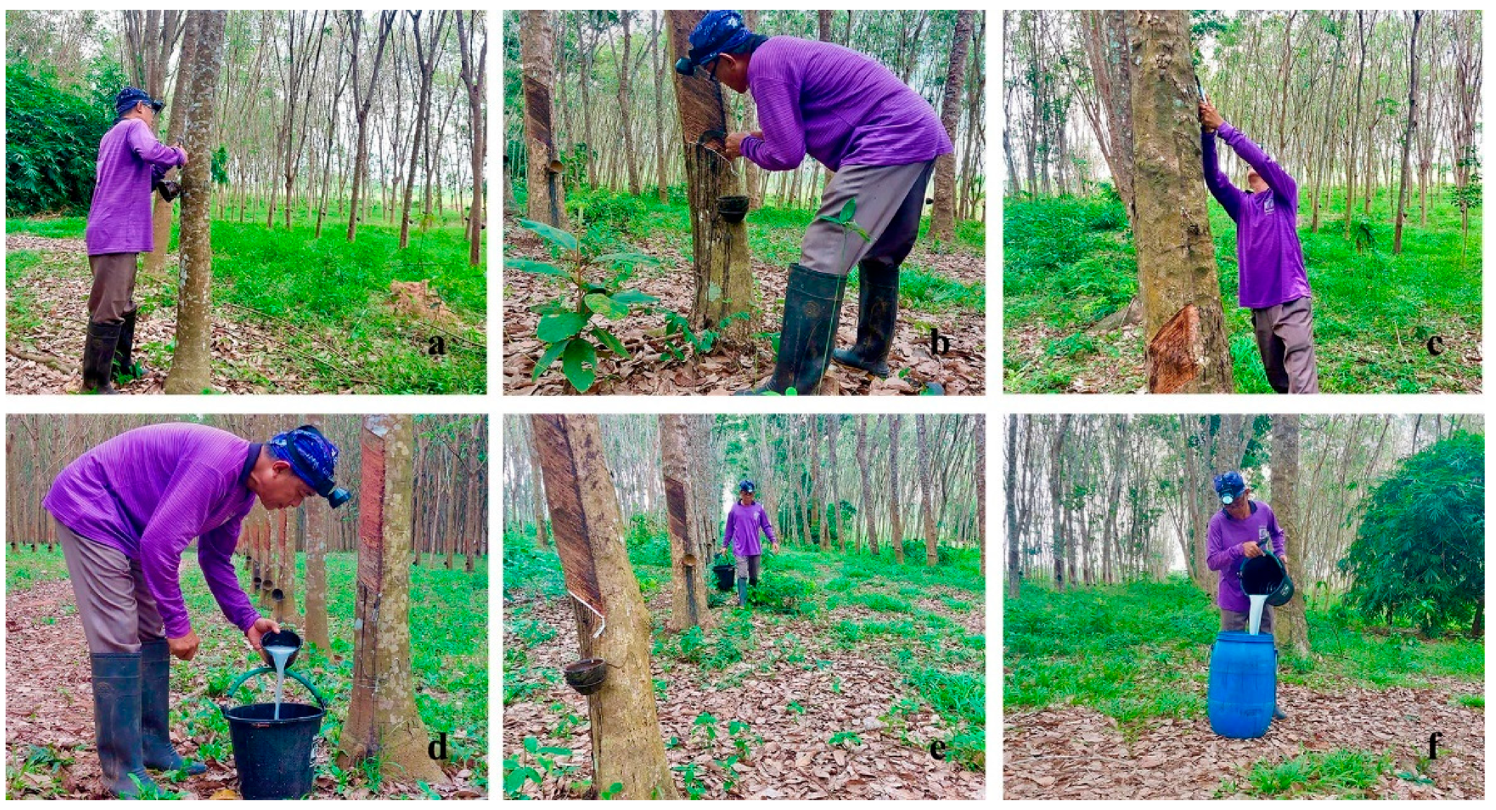 Ijerph 19 10492 g001 Ijerph 19 10492 g001