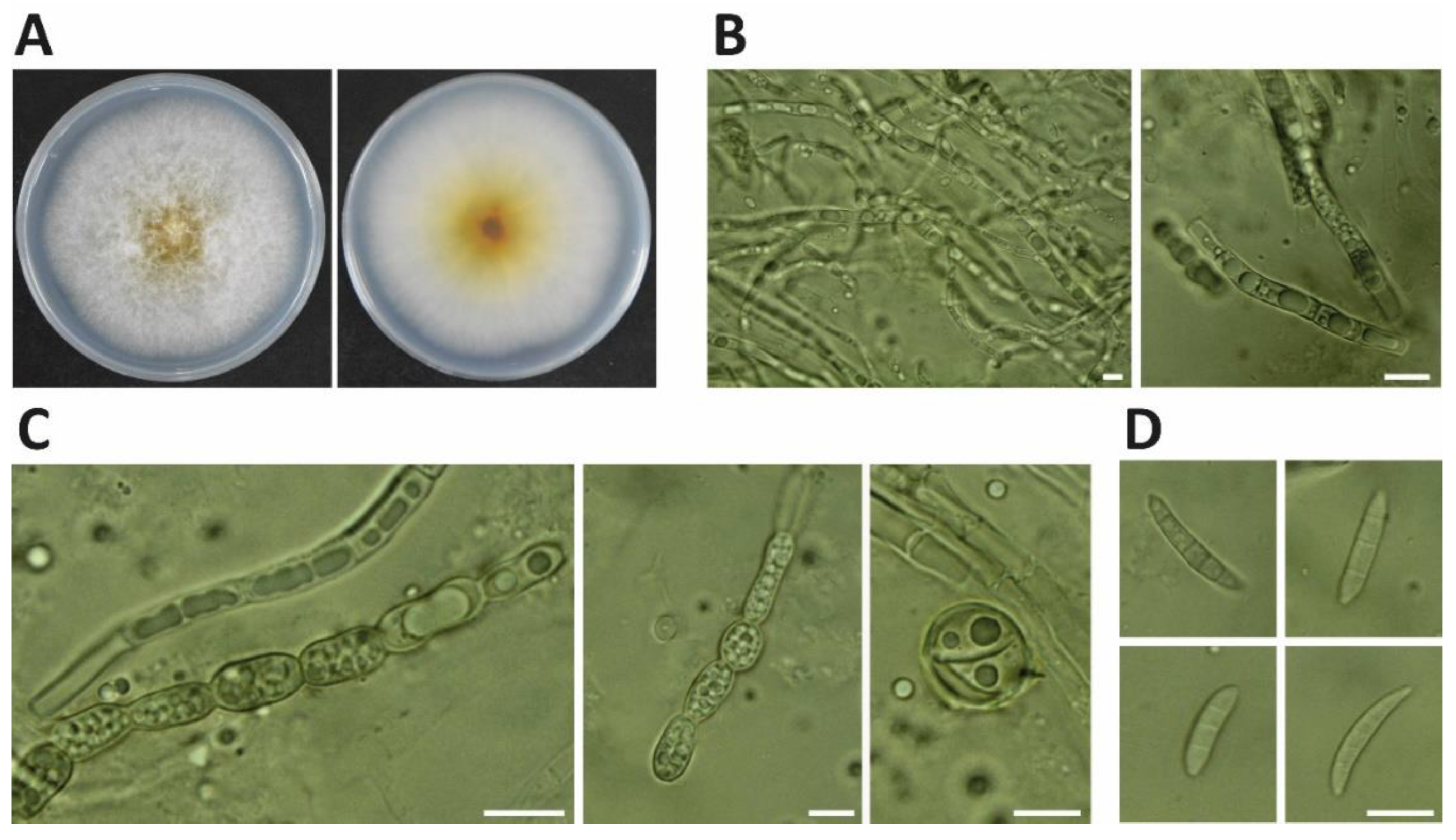Ijerph 19 10531 g002