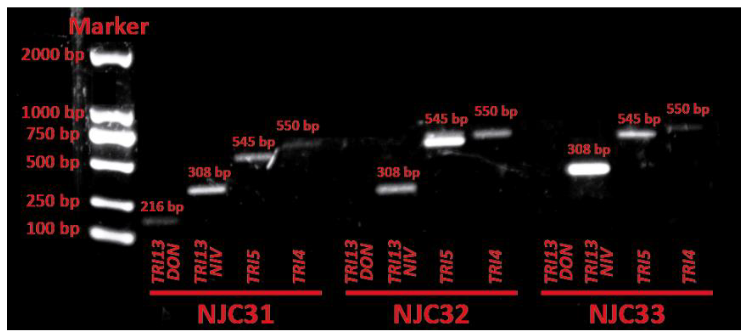 Ijerph 19 10531 g005