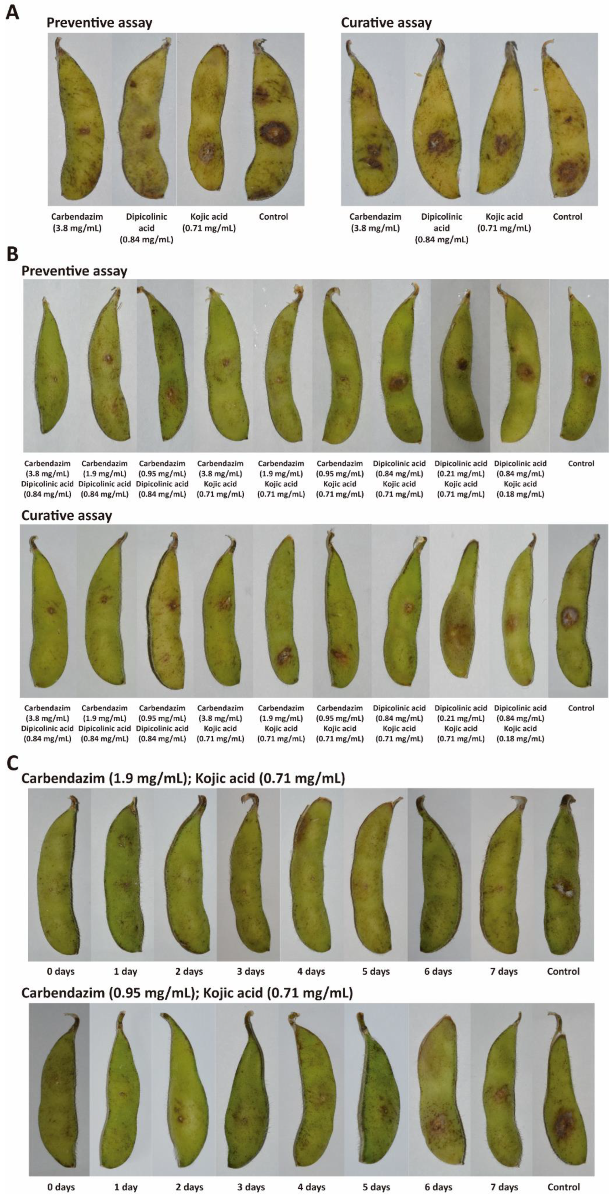 Ijerph 19 10531 g006