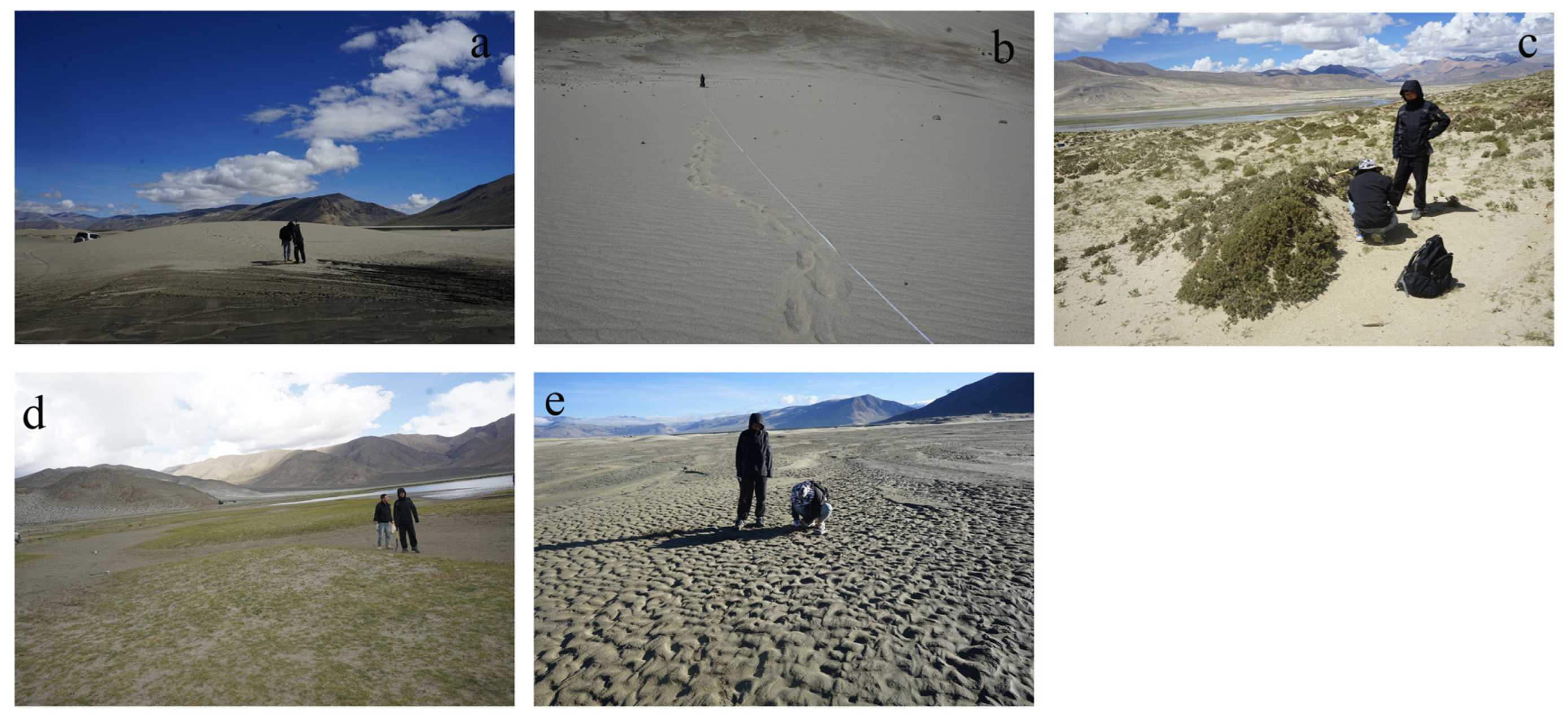 Ijerph 19 10628 g002