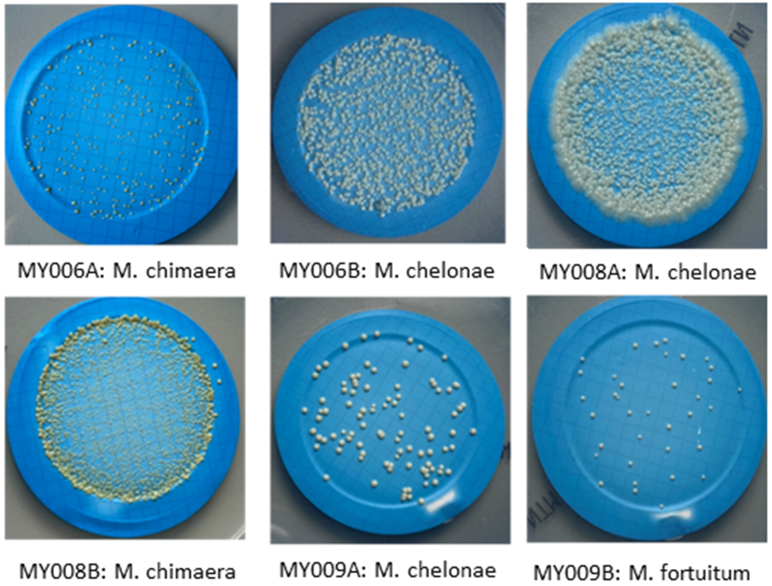 Ijerph 19 10645 g002 550