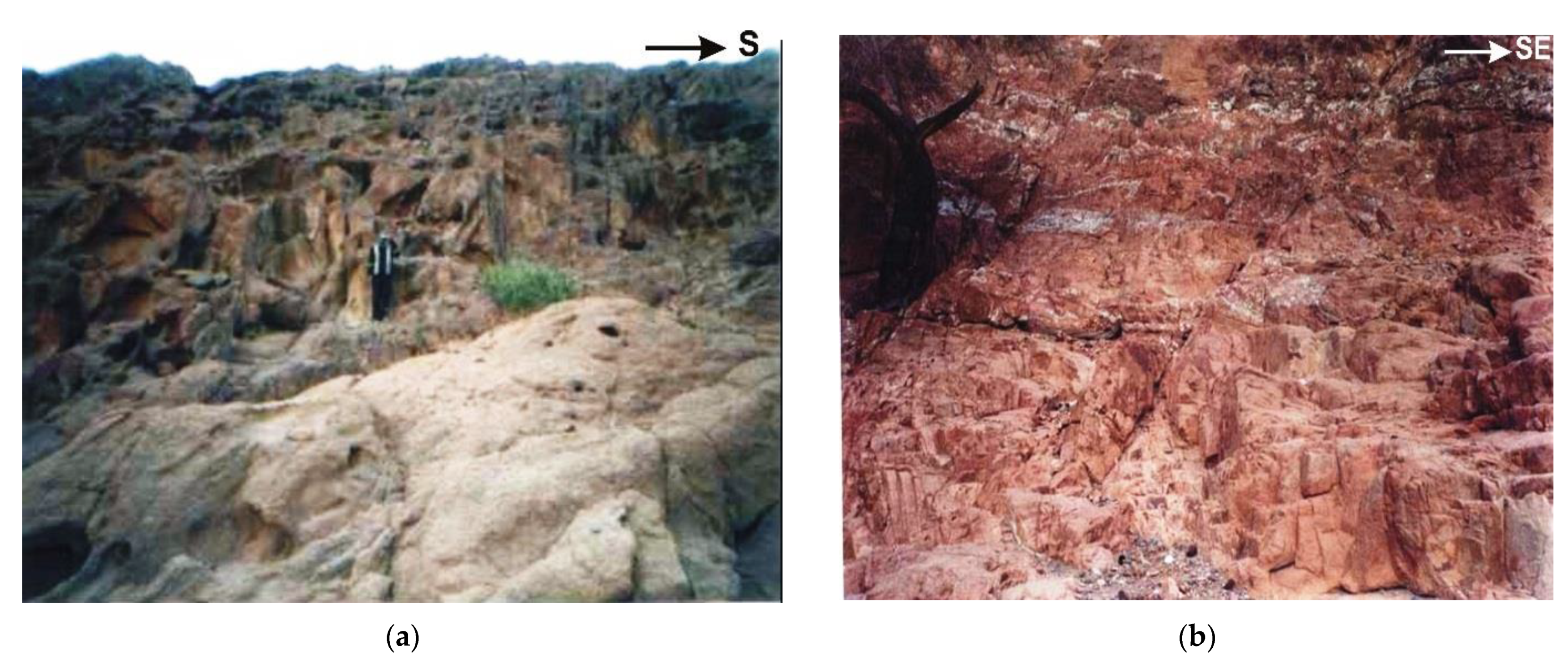 Ijerph 19 10717 g002 550