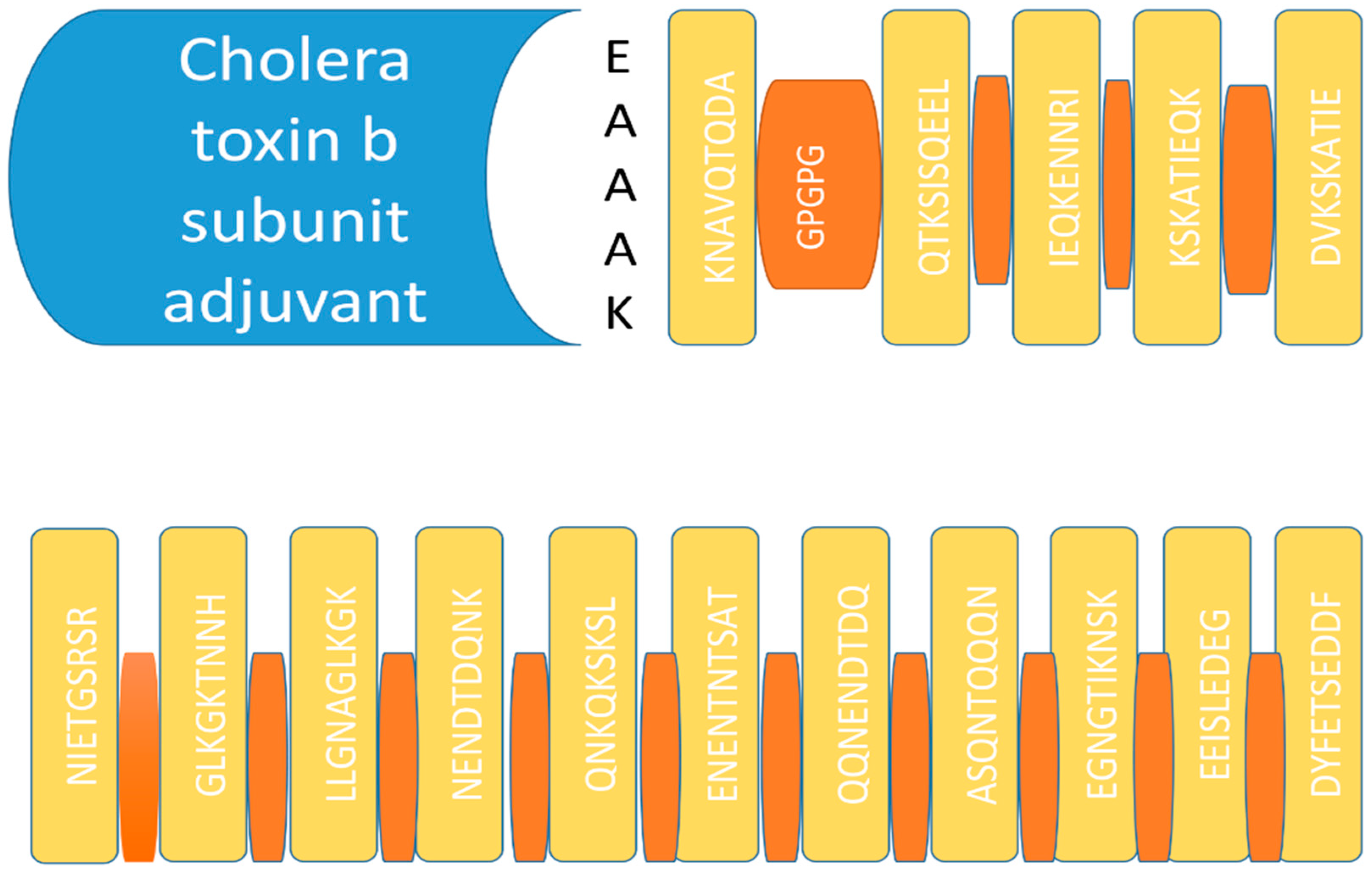 Ijerph 19 10742 g001 Ijerph 19 10742 g001