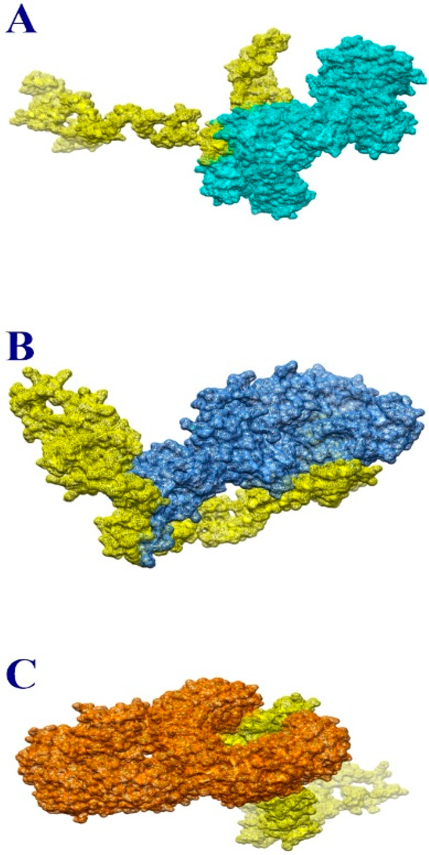 Ijerph 19 10742 g003 Ijerph 19 10742 g003