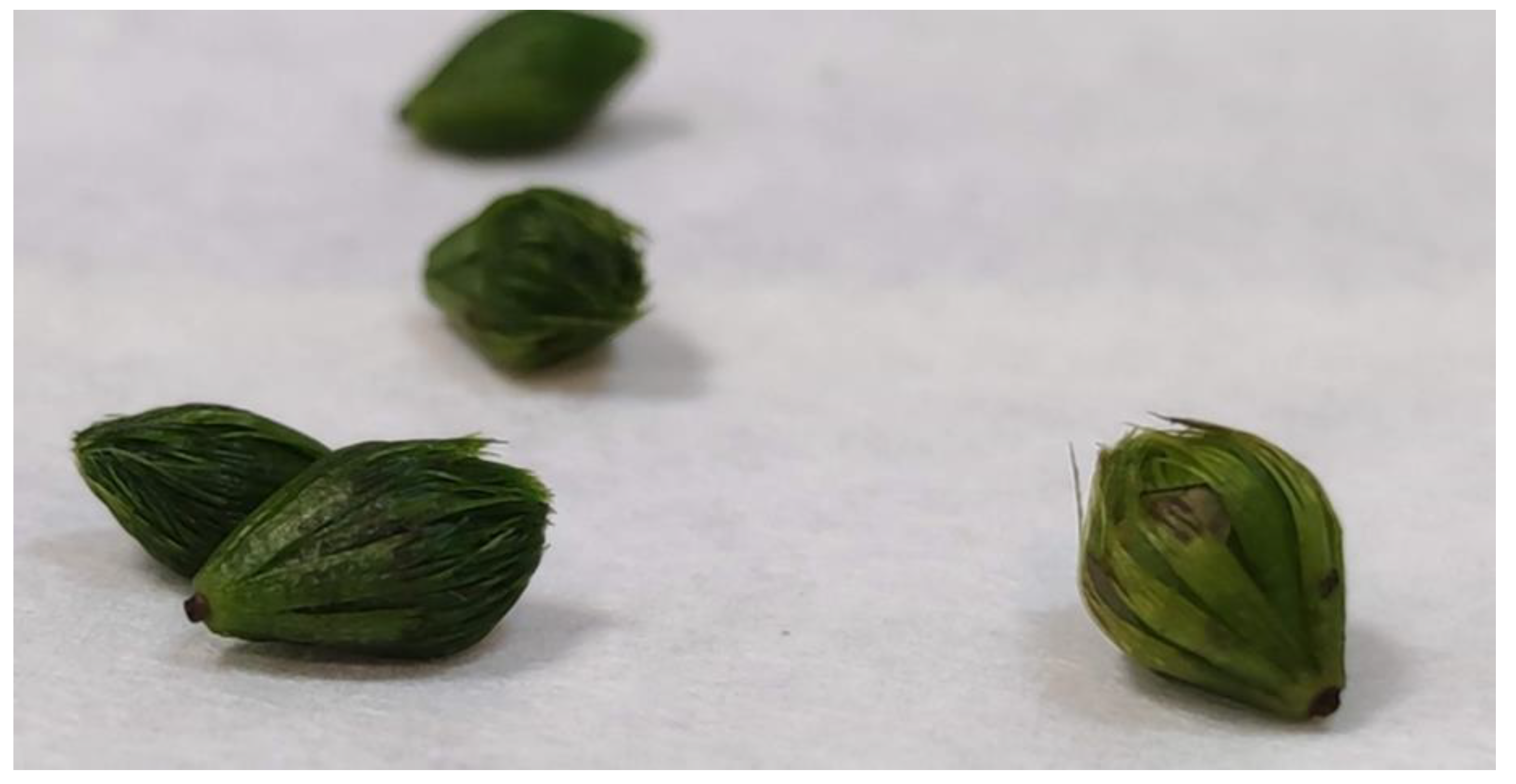 Ijerph 19 10743 g003 550