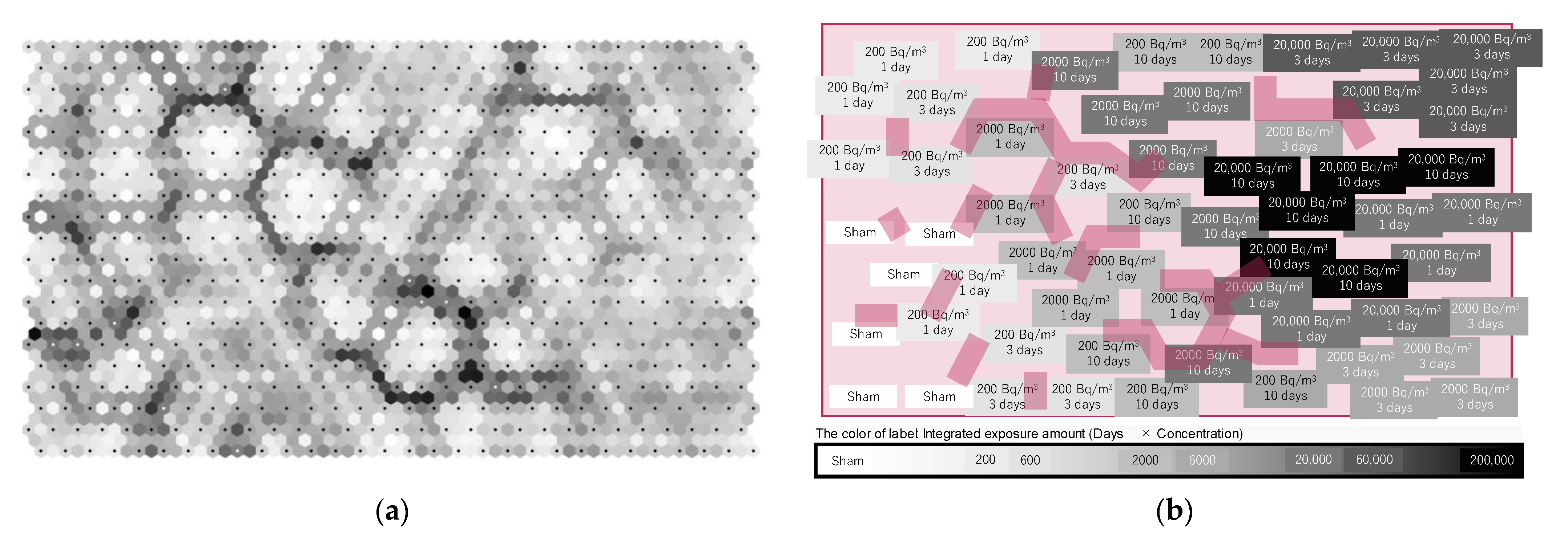 Ijerph 19 10750 g008 Ijerph 19 10750 g008