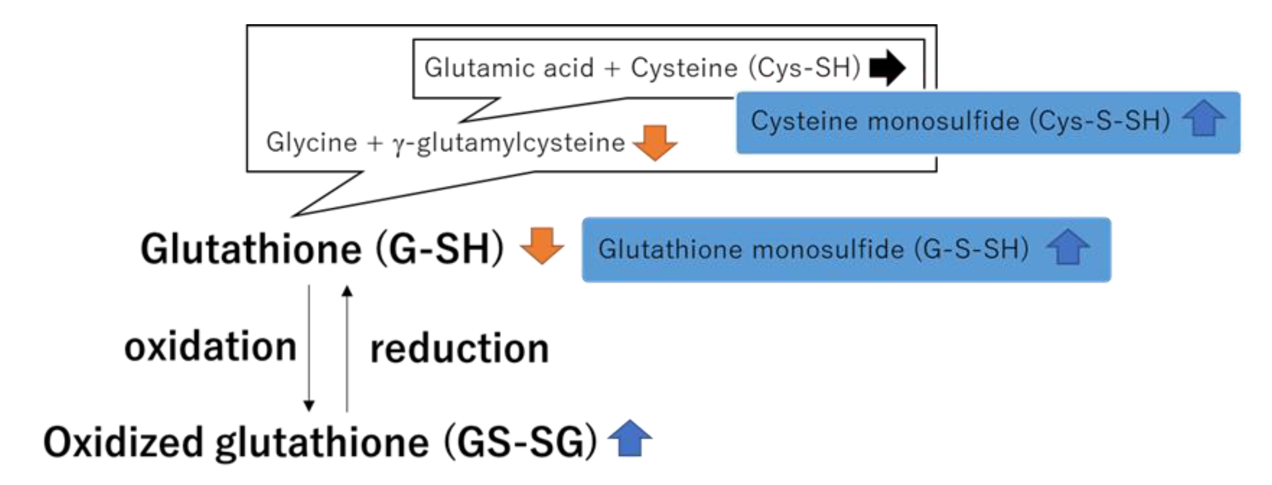 Ijerph 19 10750 g009 Ijerph 19 10750 g009