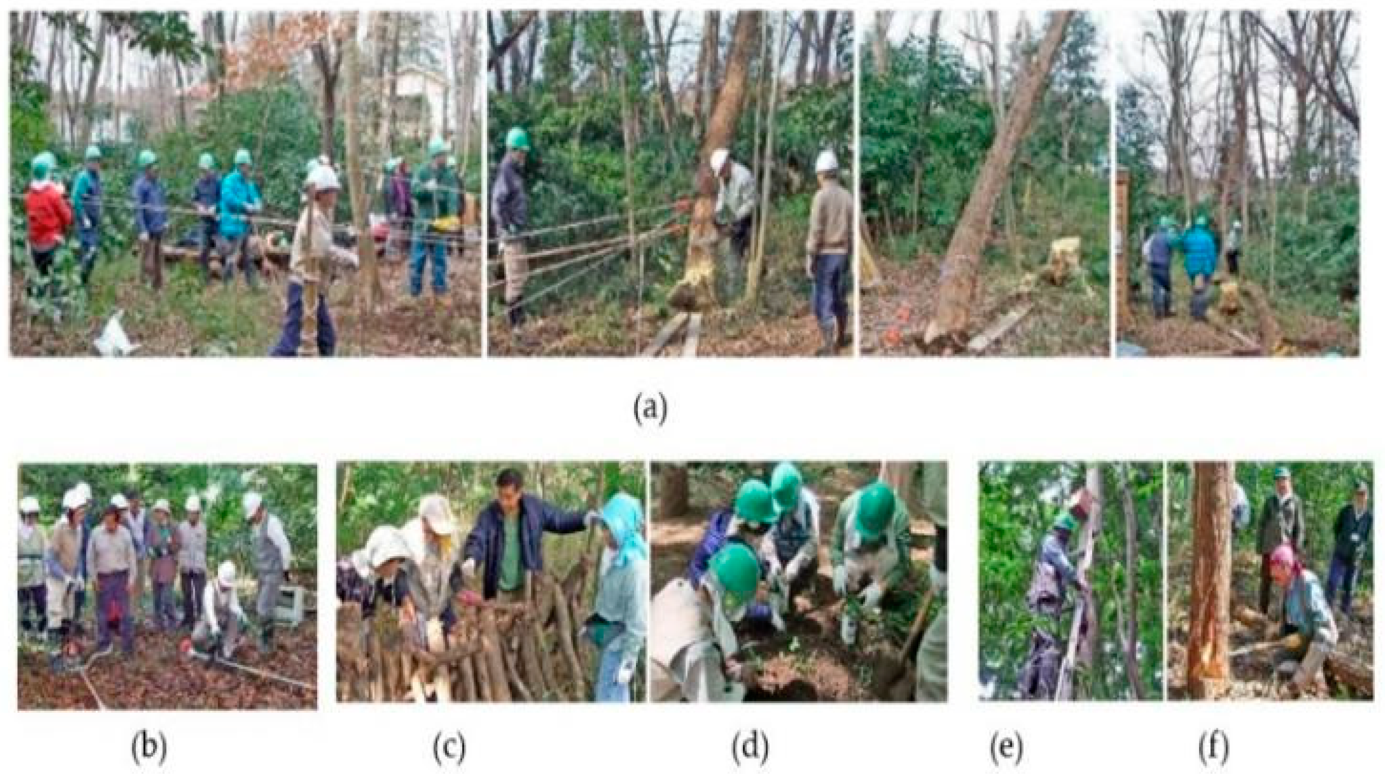 Ijerph 19 10760 g002