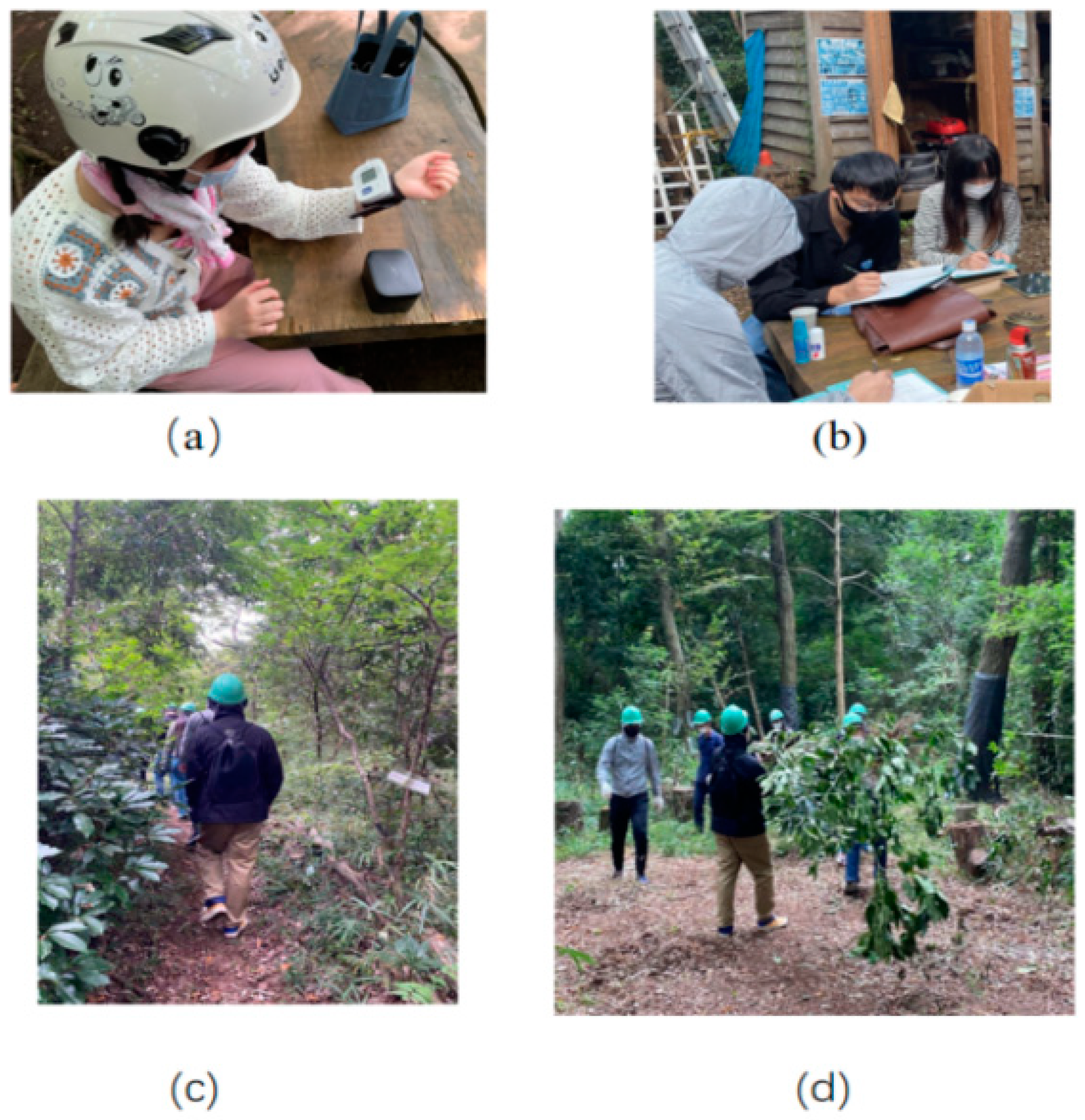 Ijerph 19 10760 g003