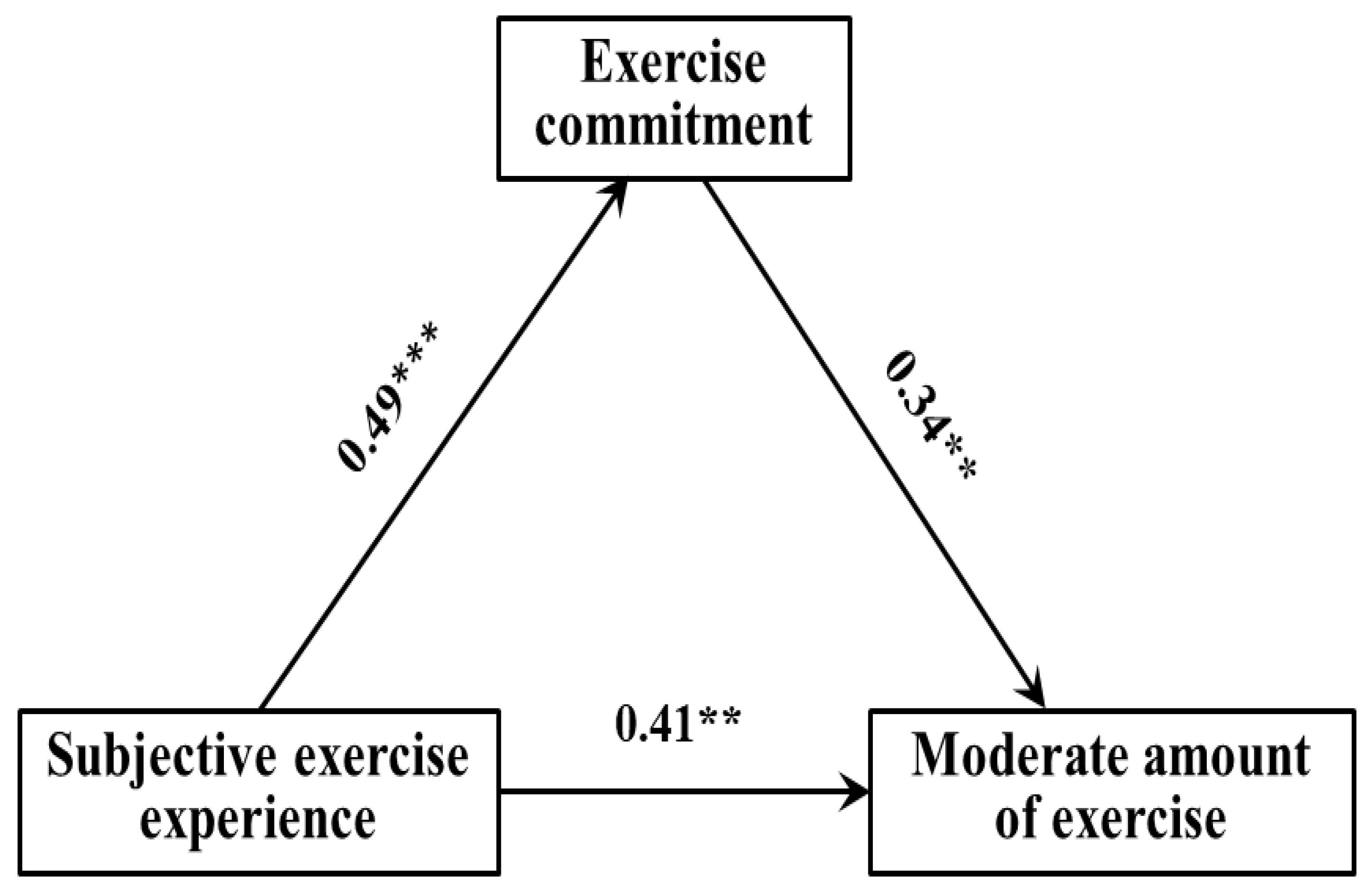 The Effect of Subjective Exercise Experience on Exercise