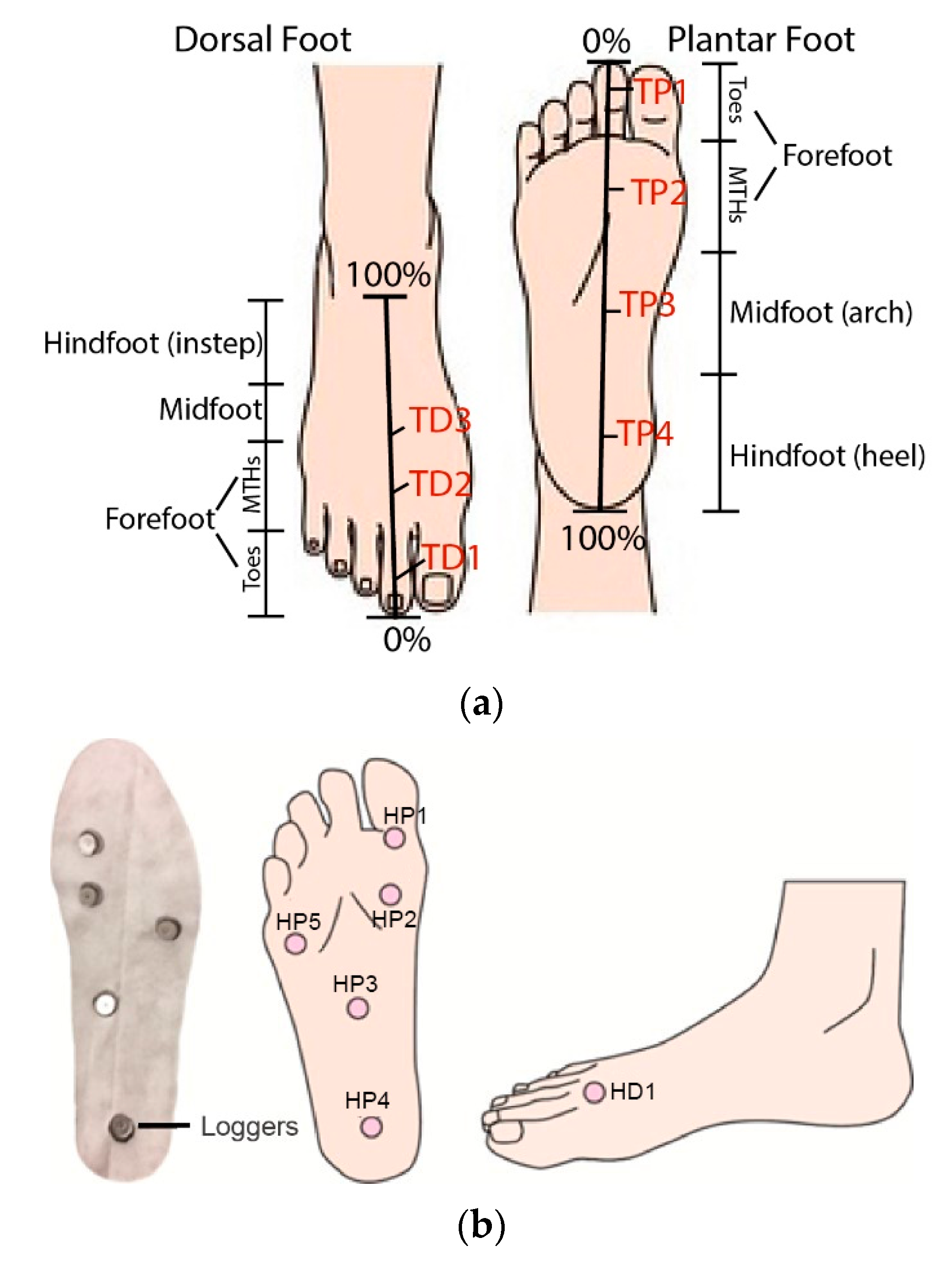 Ijerph 19 10861 g004 Ijerph 19 10861 g004