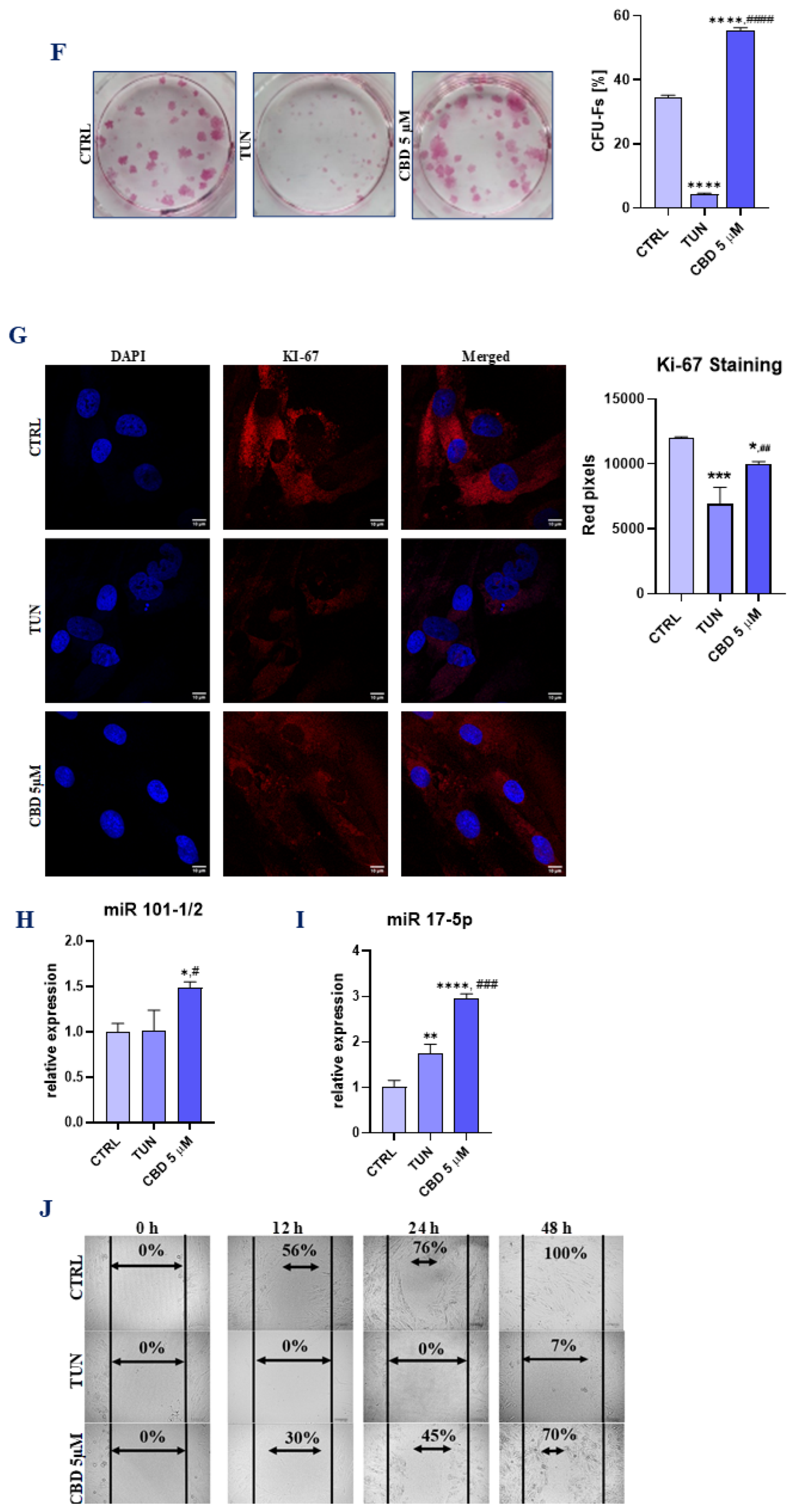 Ijerph 19 10864 g001b