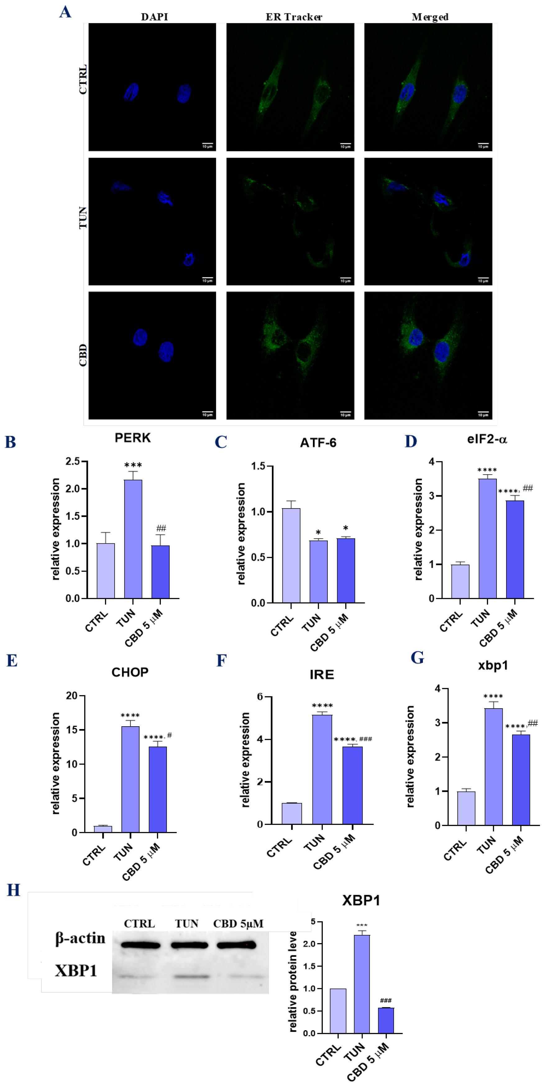 Ijerph 19 10864 g003