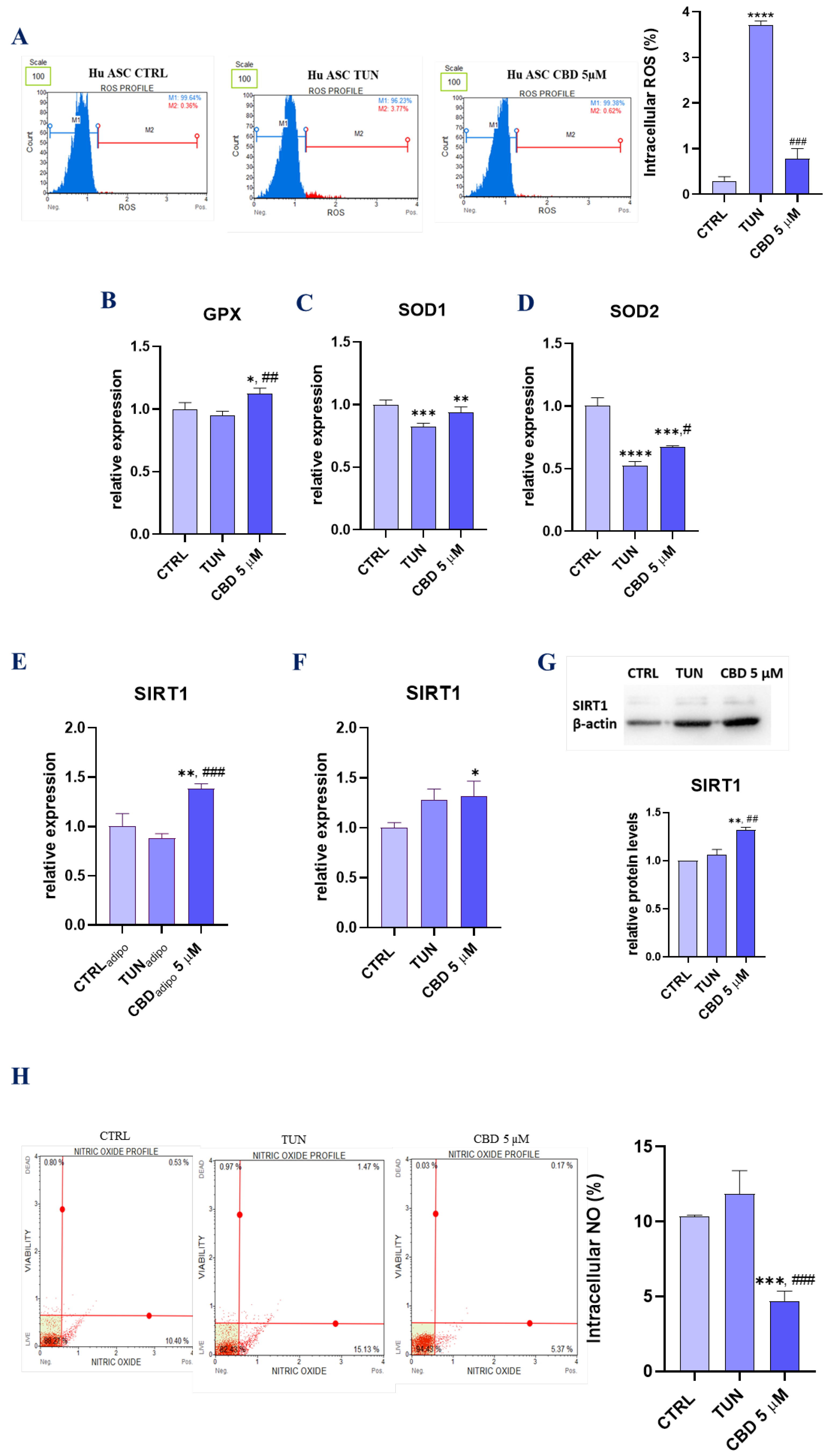 Ijerph 19 10864 g004
