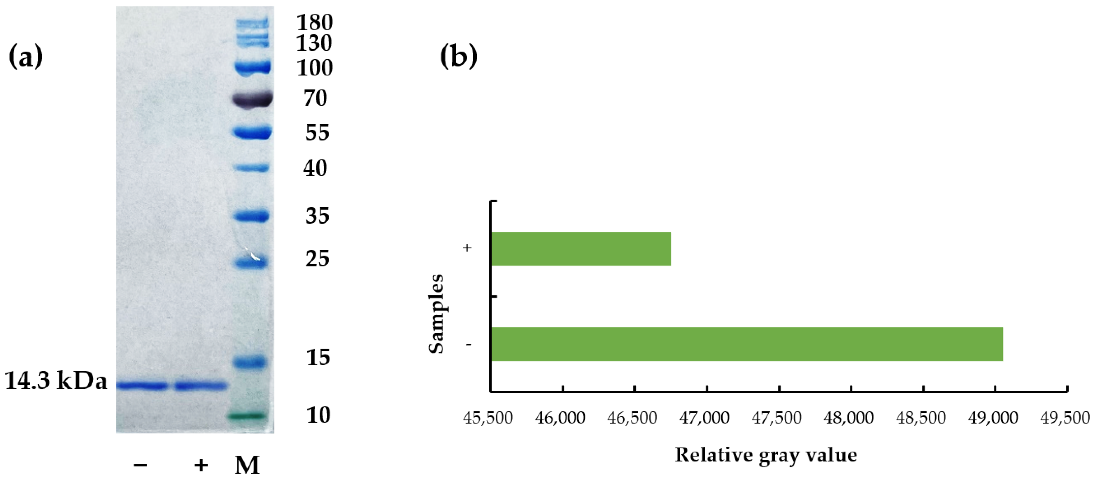 Ijerph 19 10881 g003