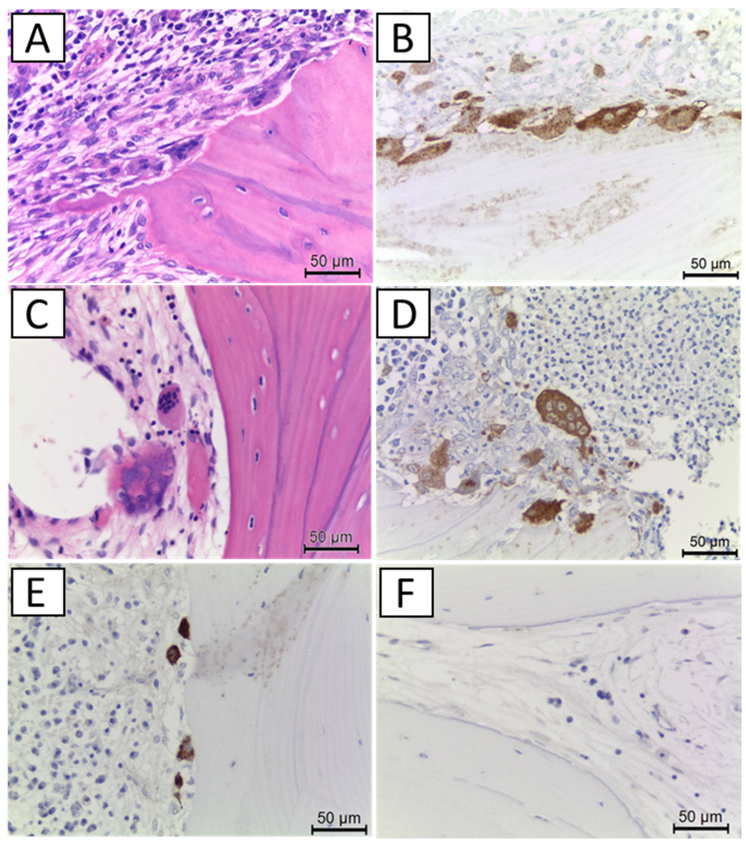 Ijerph 19 10898 g002