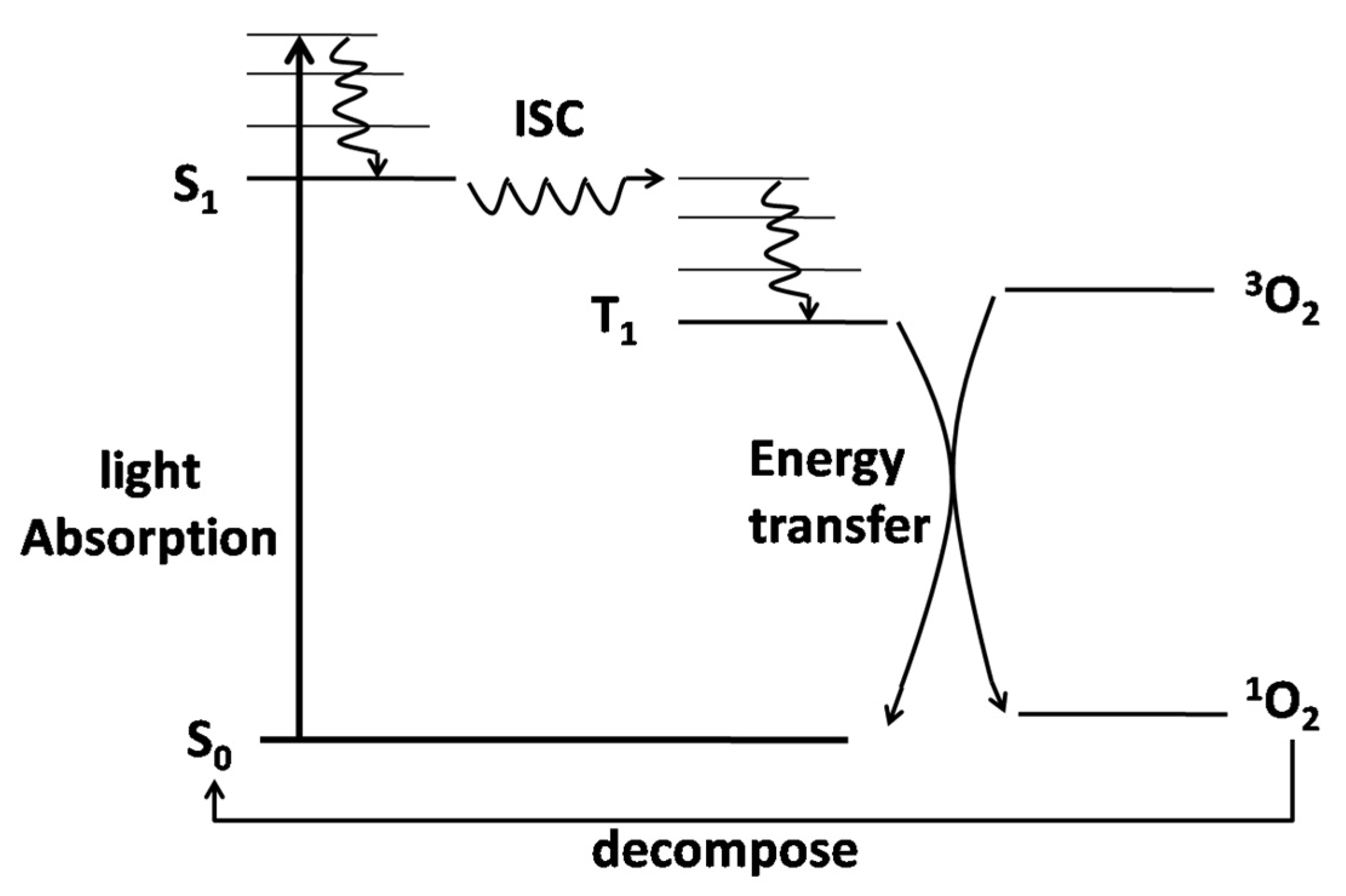 Ijerph 19 10919 g002