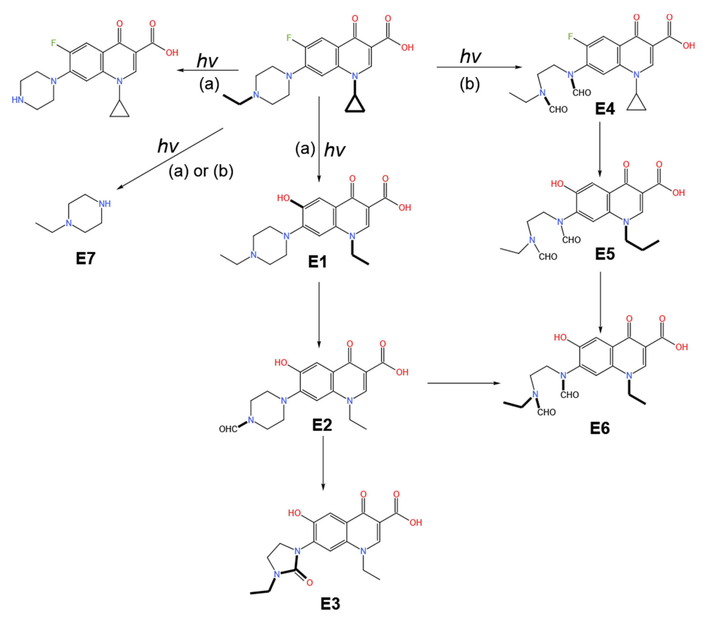 Ijerph 19 10919 g003