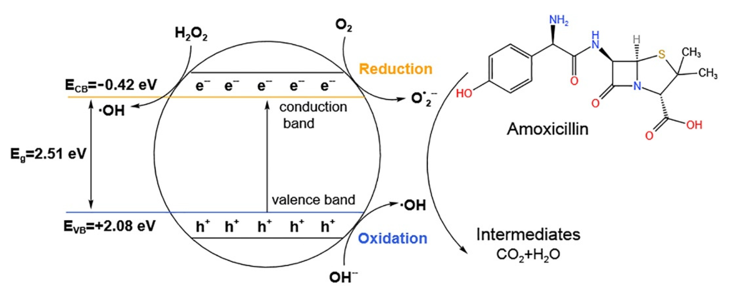 Ijerph 19 10919 g006