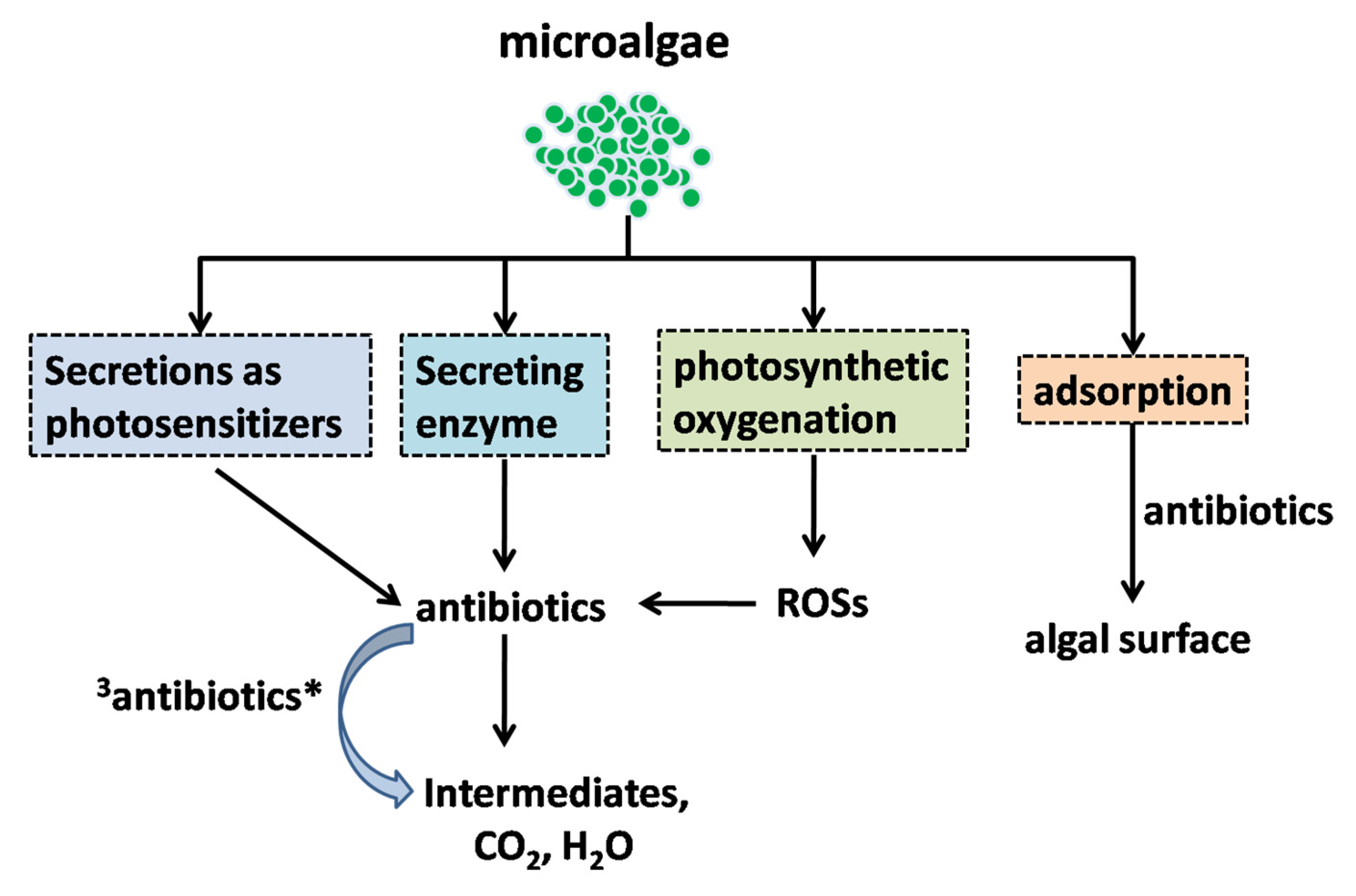 Ijerph 19 10919 g010