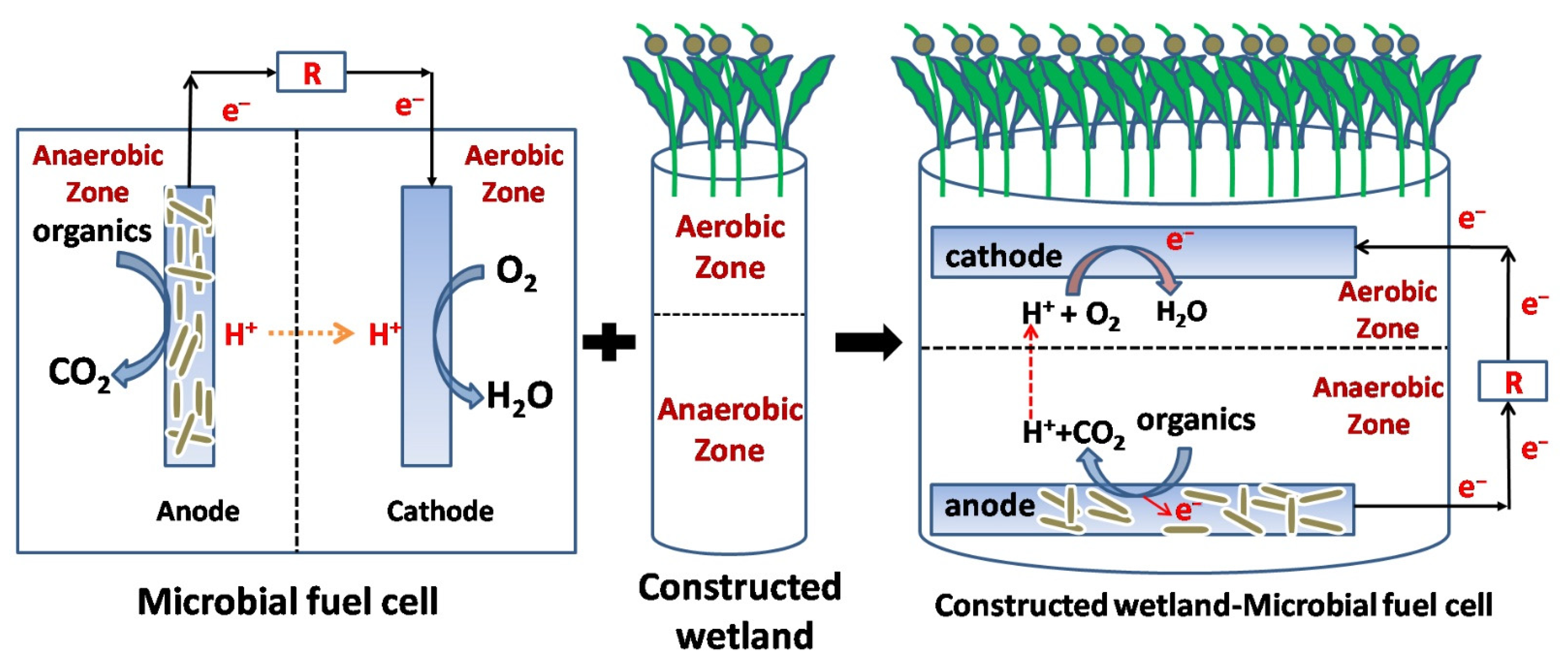 Ijerph 19 10919 g013