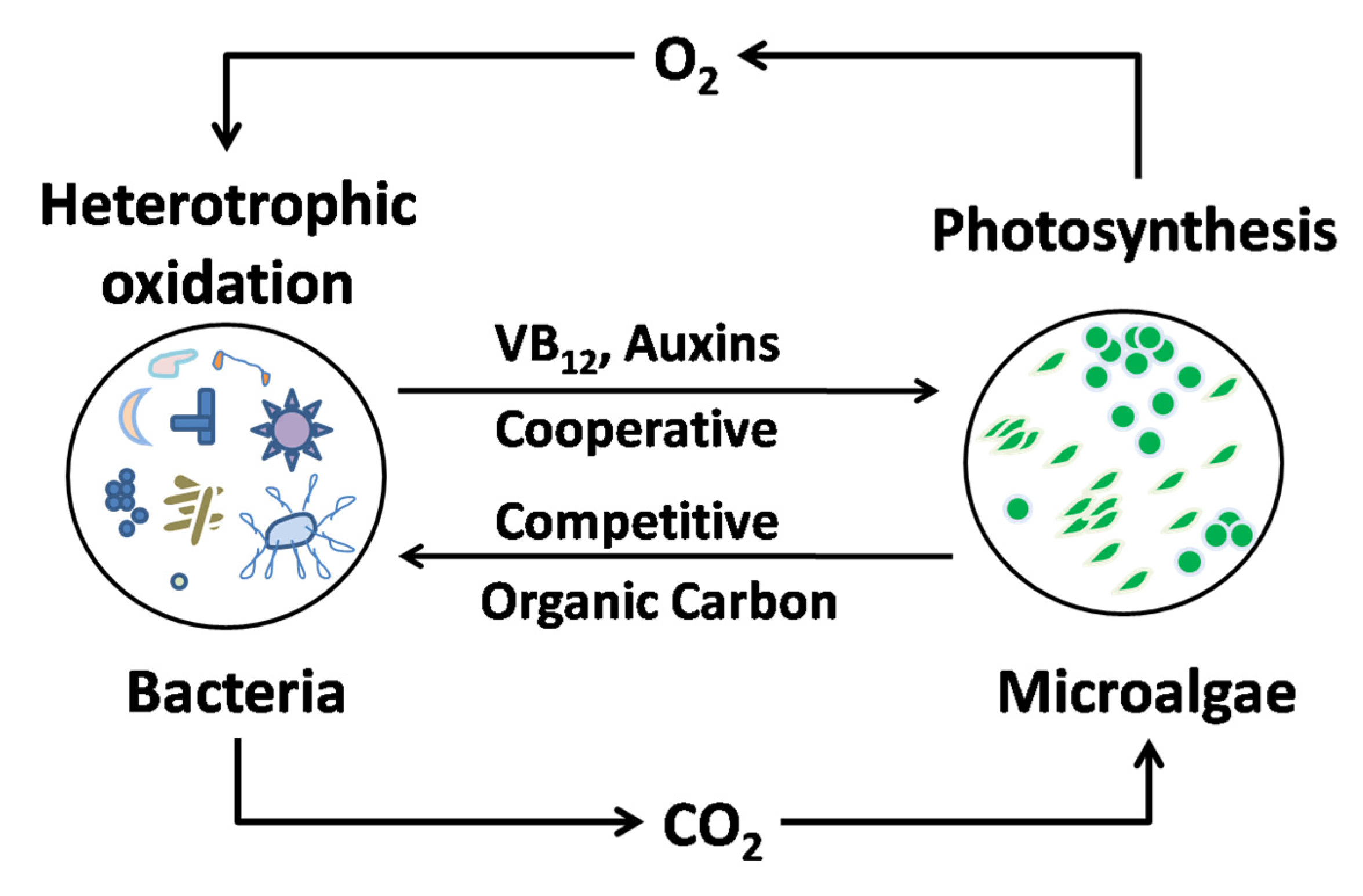 Ijerph 19 10919 g014