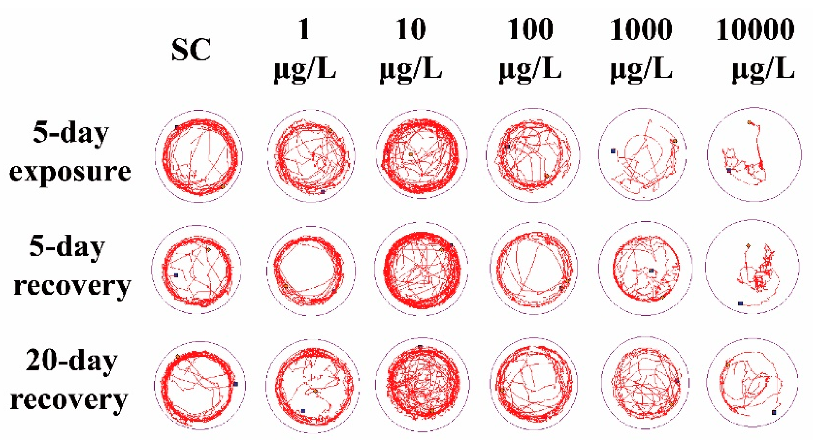 Ijerph 19 10920 g002 550