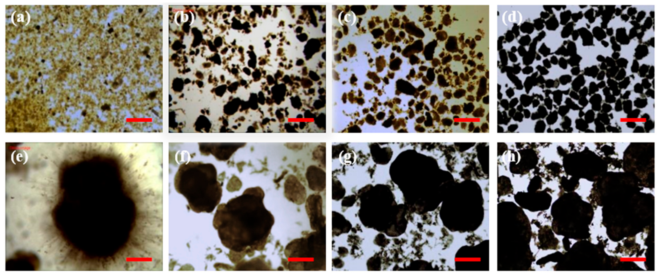 Ijerph 19 10940 g002 550