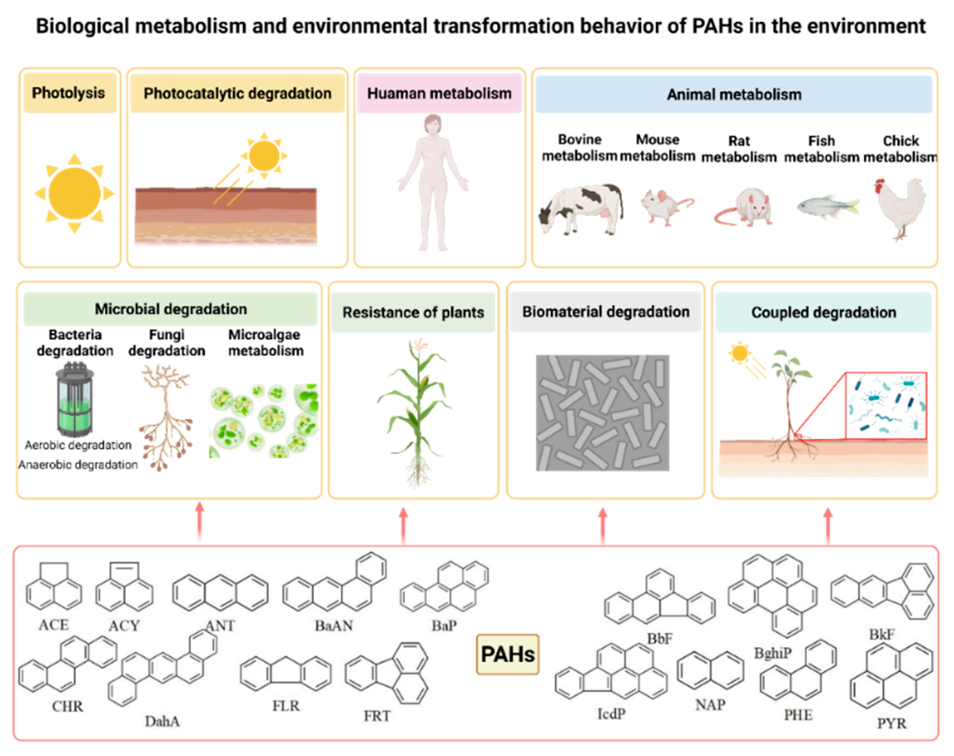 Ijerph 19 10972 g001 550