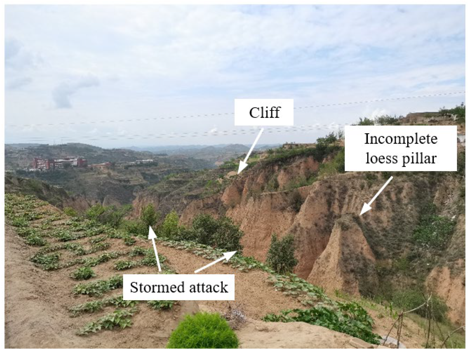 Ijerph 19 10991 g001 550