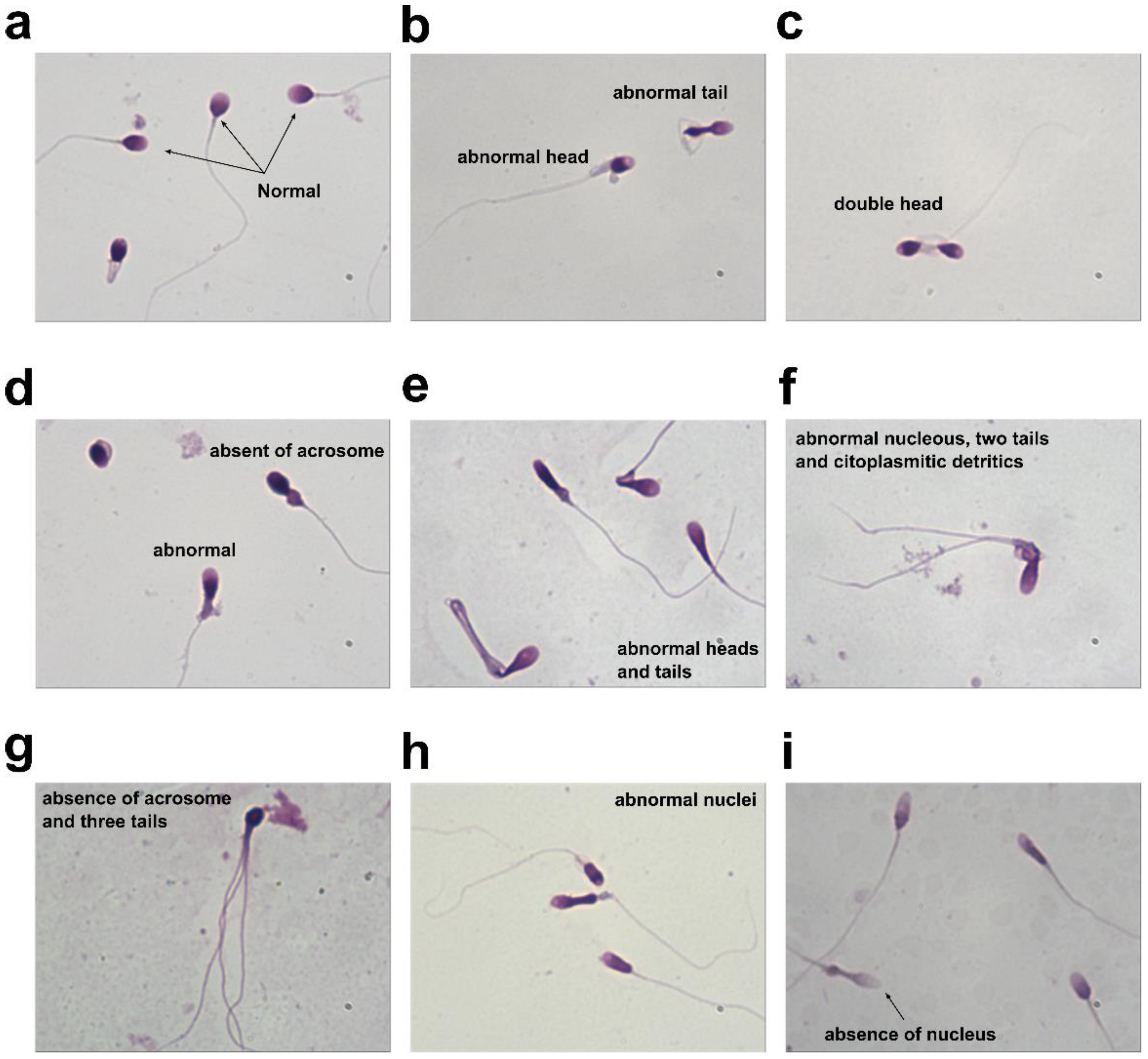 Ijerph 19 11023 g005