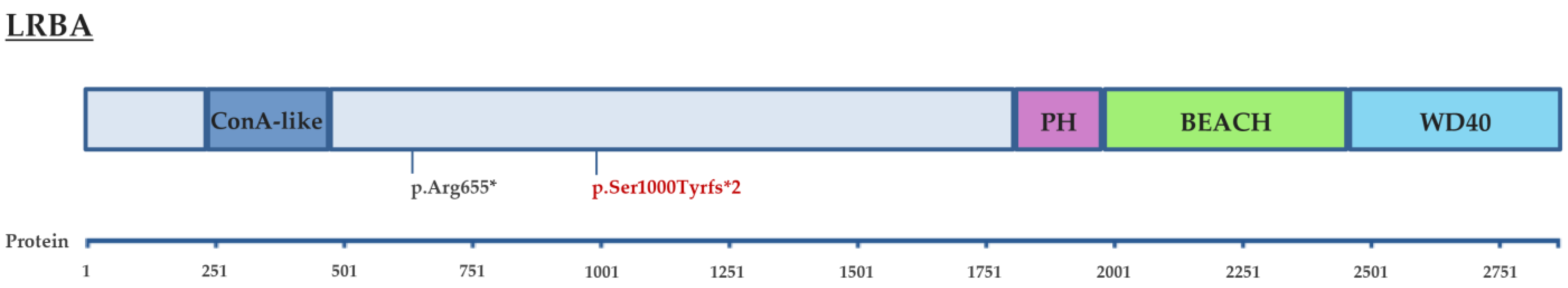 Ijerph 19 11031 g001 550