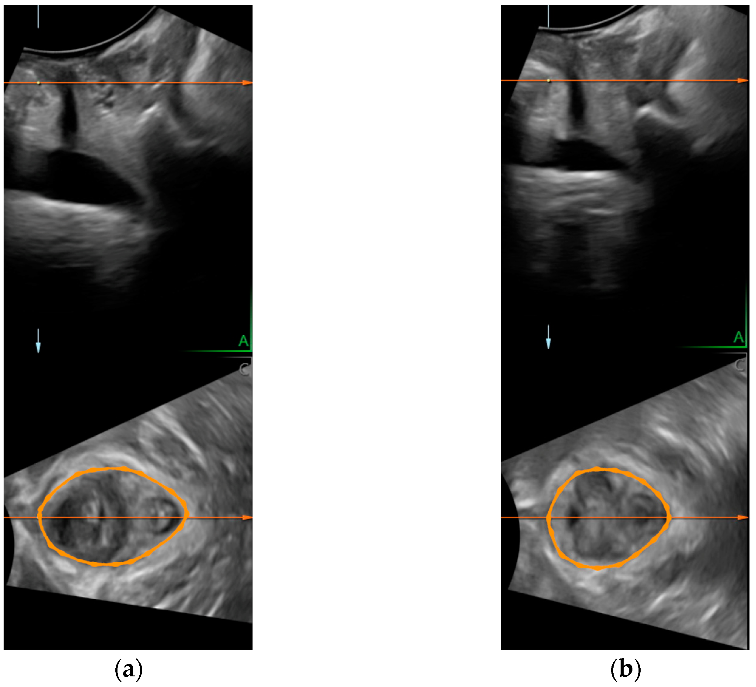 Ijerph 19 11078 g001 550